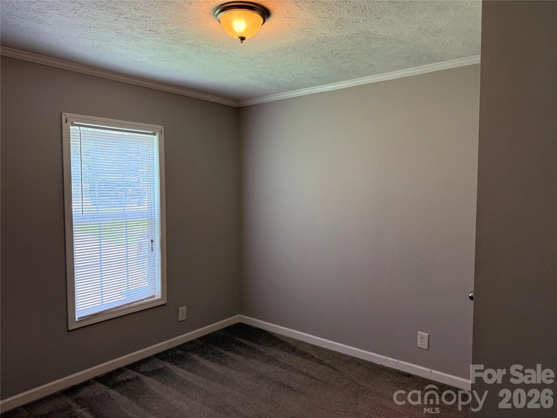 166 Albert Drive - Photo 13