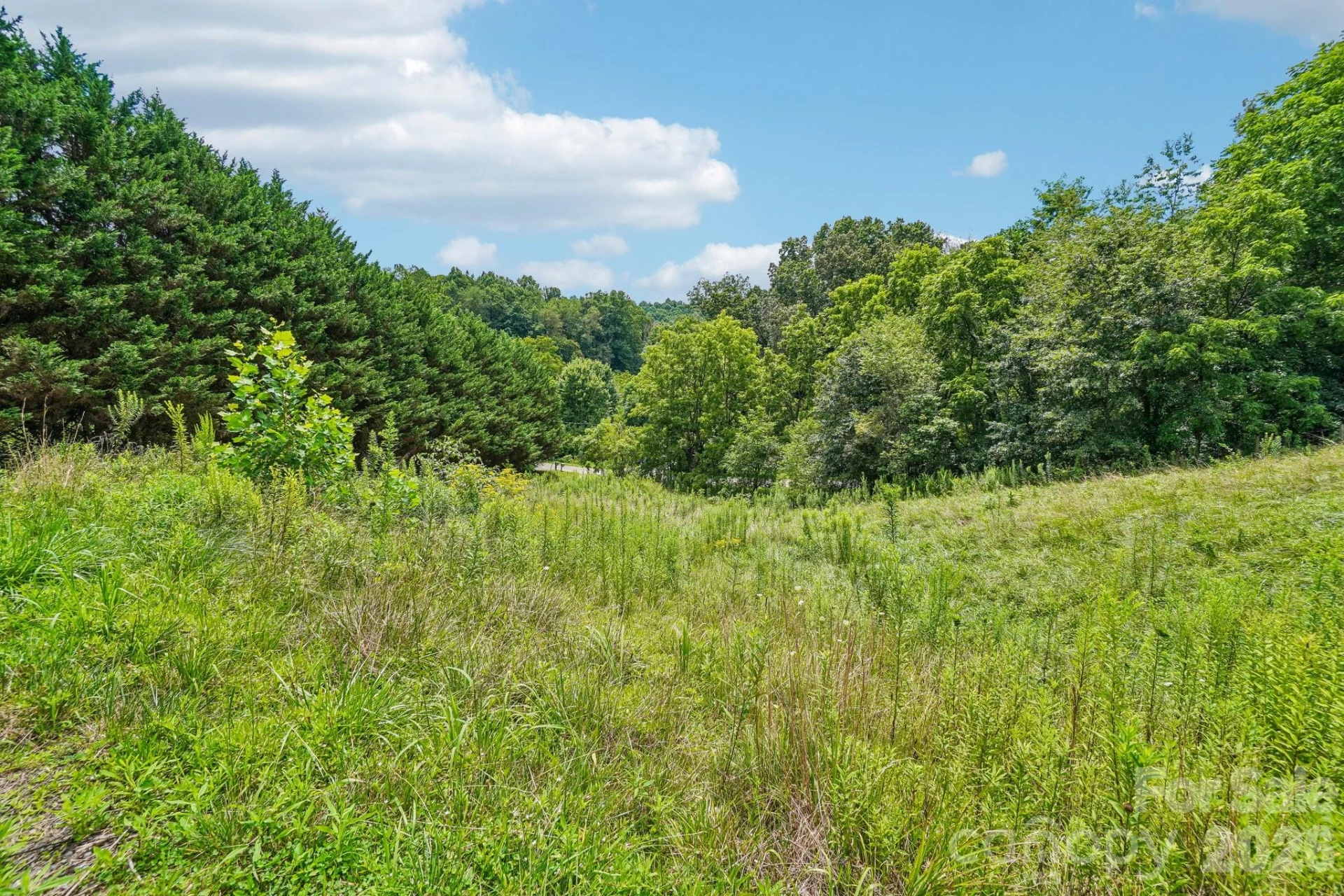 50 Glance Cove Road - Photo 15
