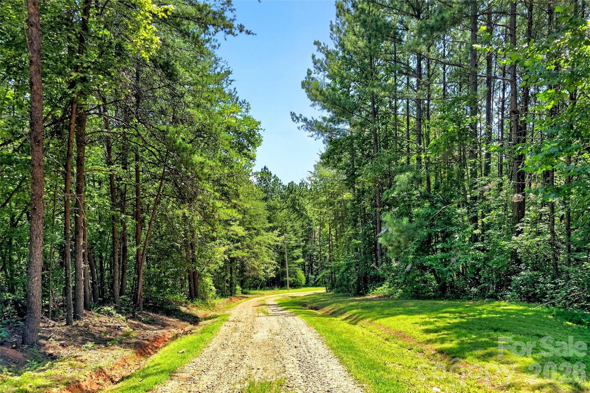929 Camp Creek Road - Photo 6