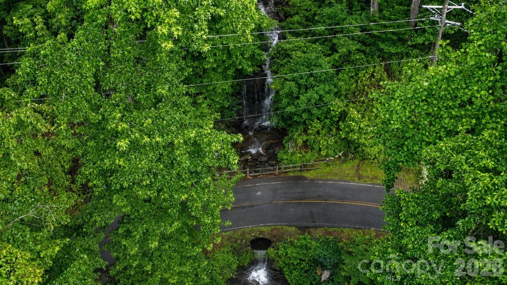#46 Hemlock Trail - Photo 5