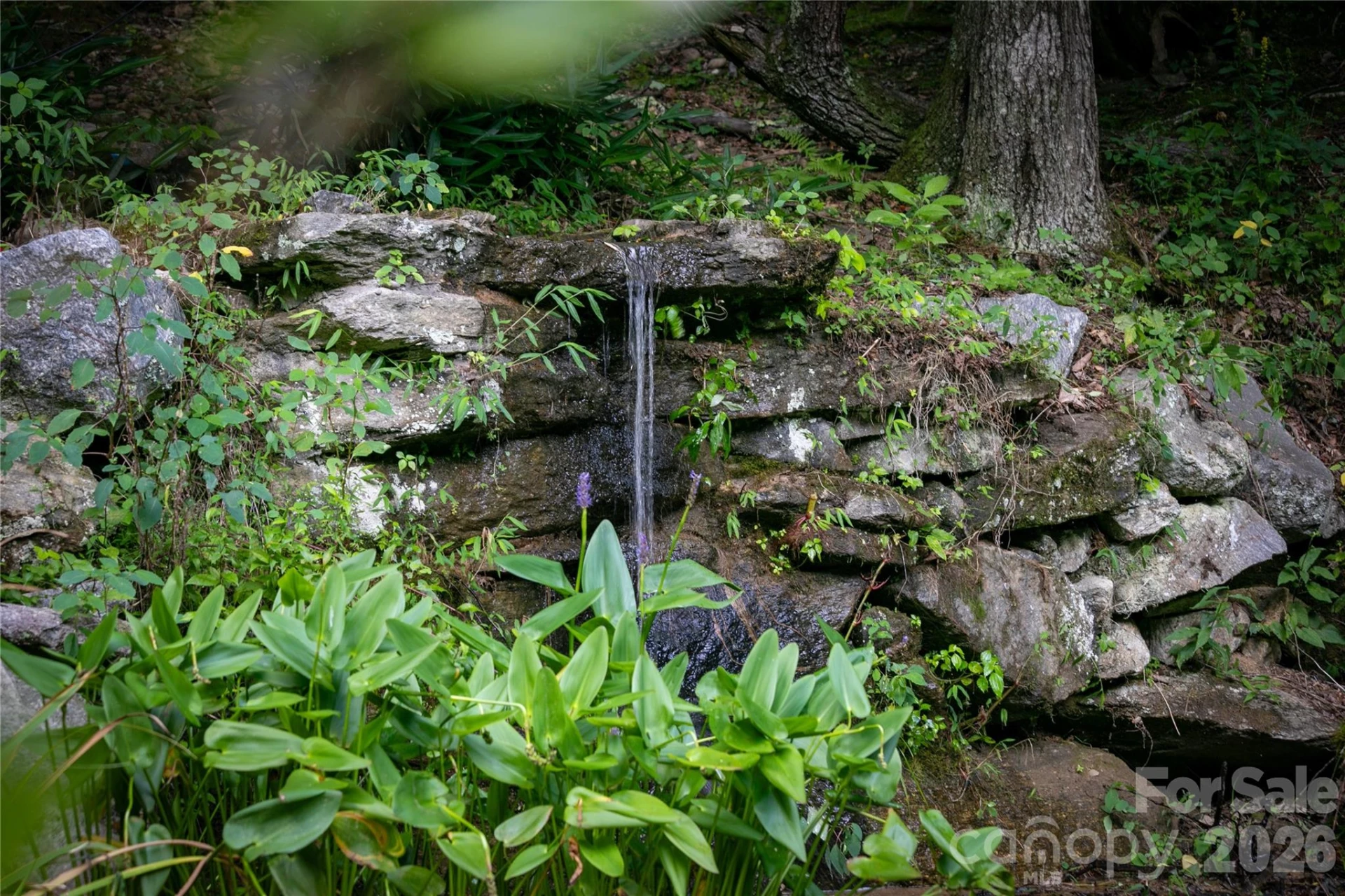 87 Old Chimney Lane - Photo 20