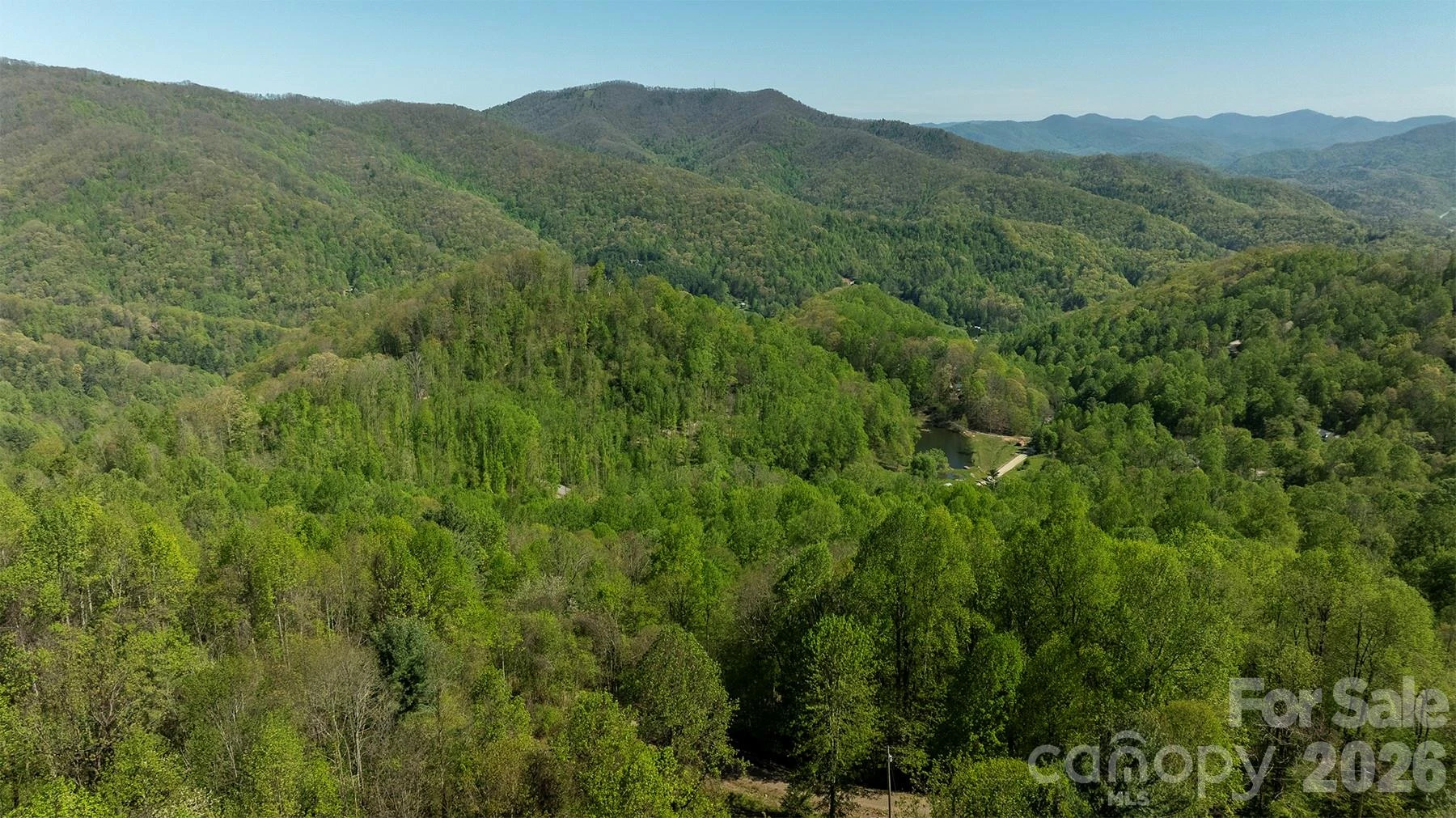 95 Lasso Lane - Photo 36