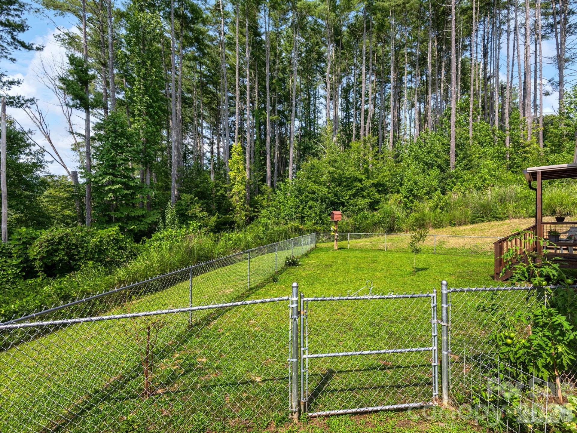 380 Green Acres Drive - Photo 15