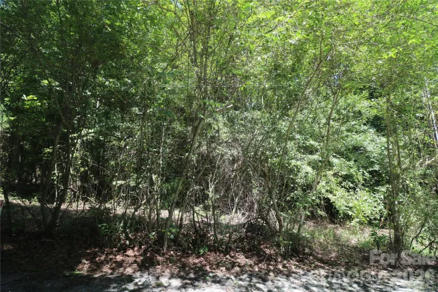 0 Shady Nook Circle