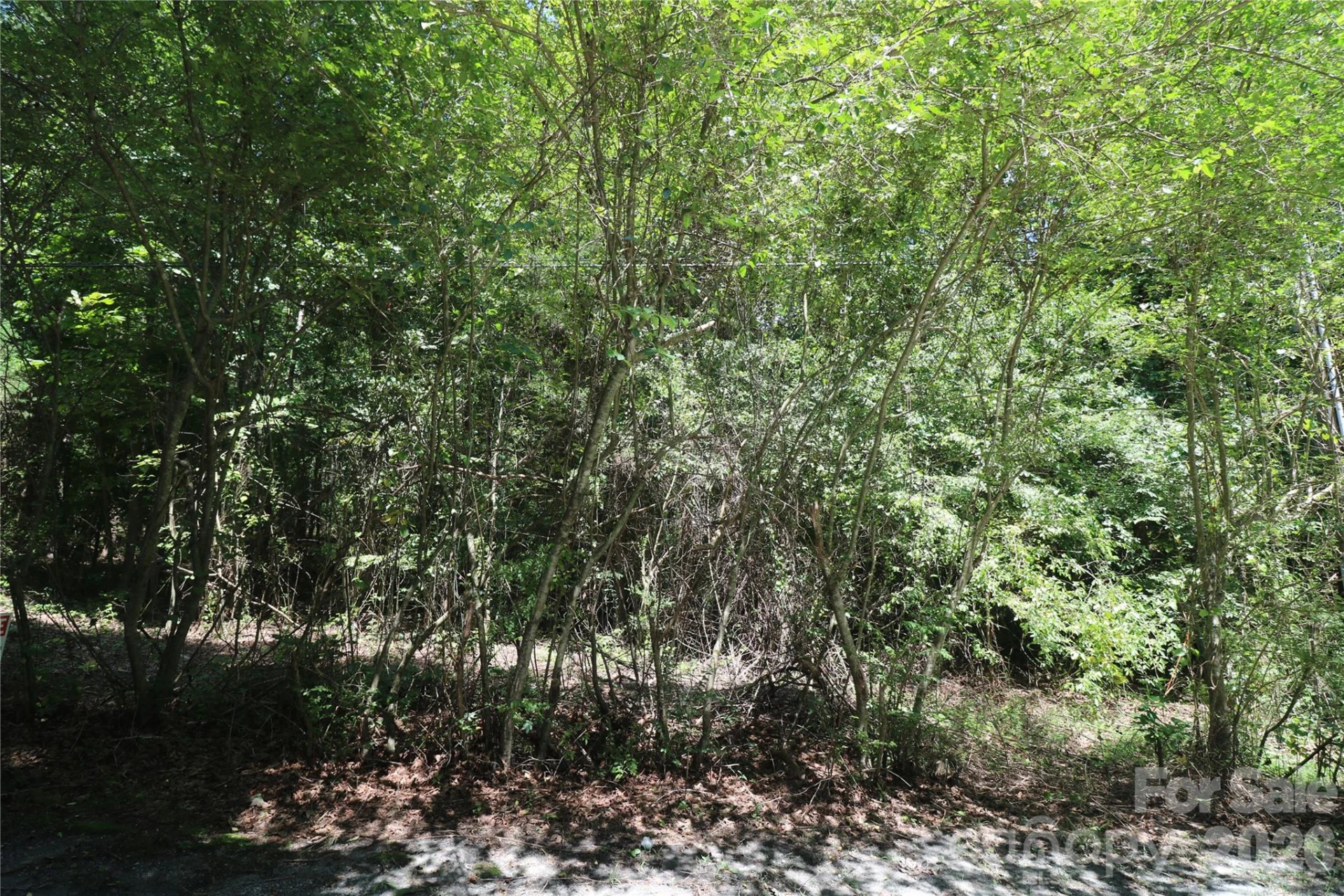 0 Shady Nook Circle