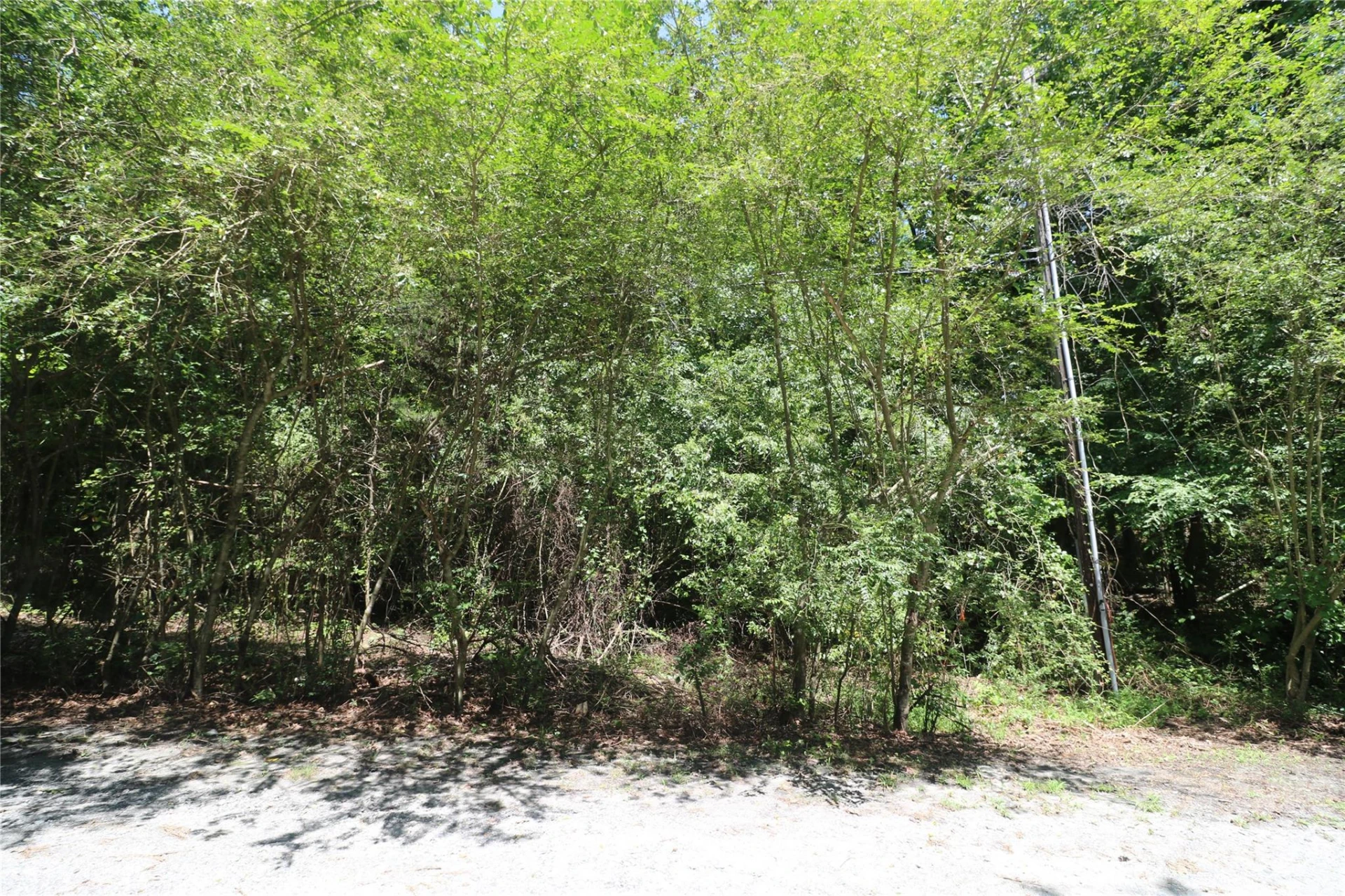 0 Shady Nook Circle - Photo 2