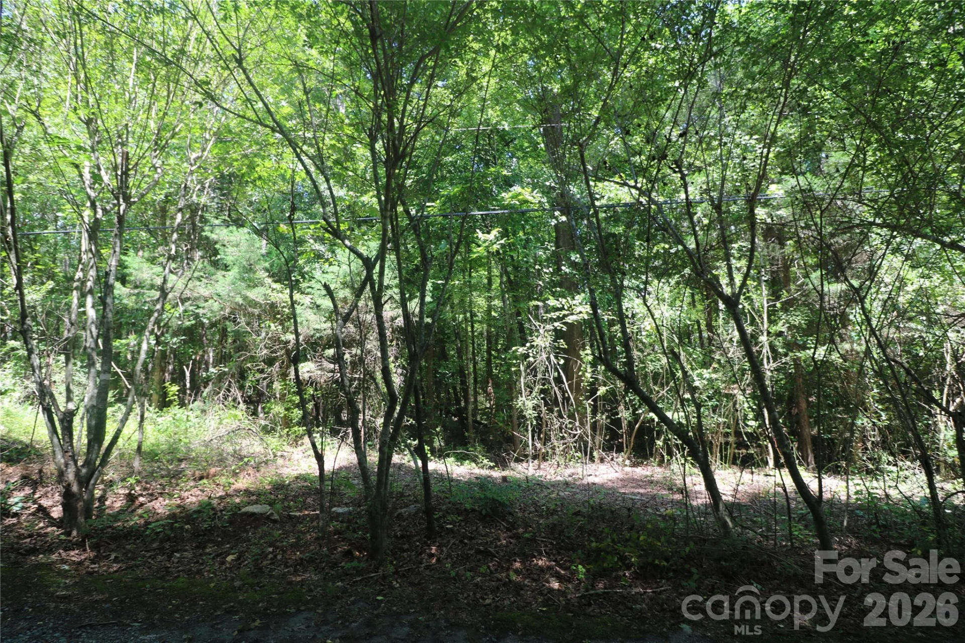 0 Shady Nook Circle - Photo 3