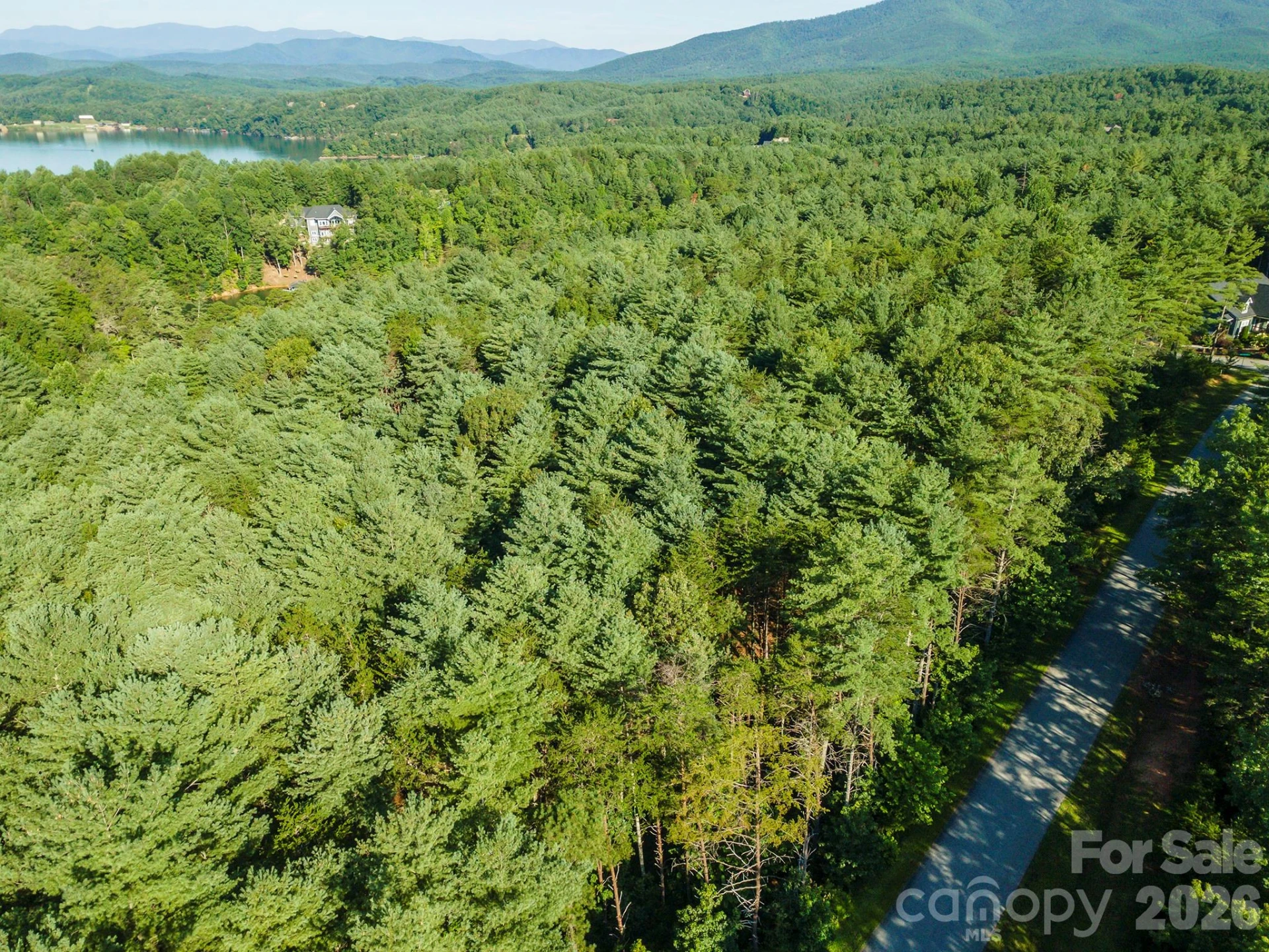LOT #86 Crest View Drive - Photo 3