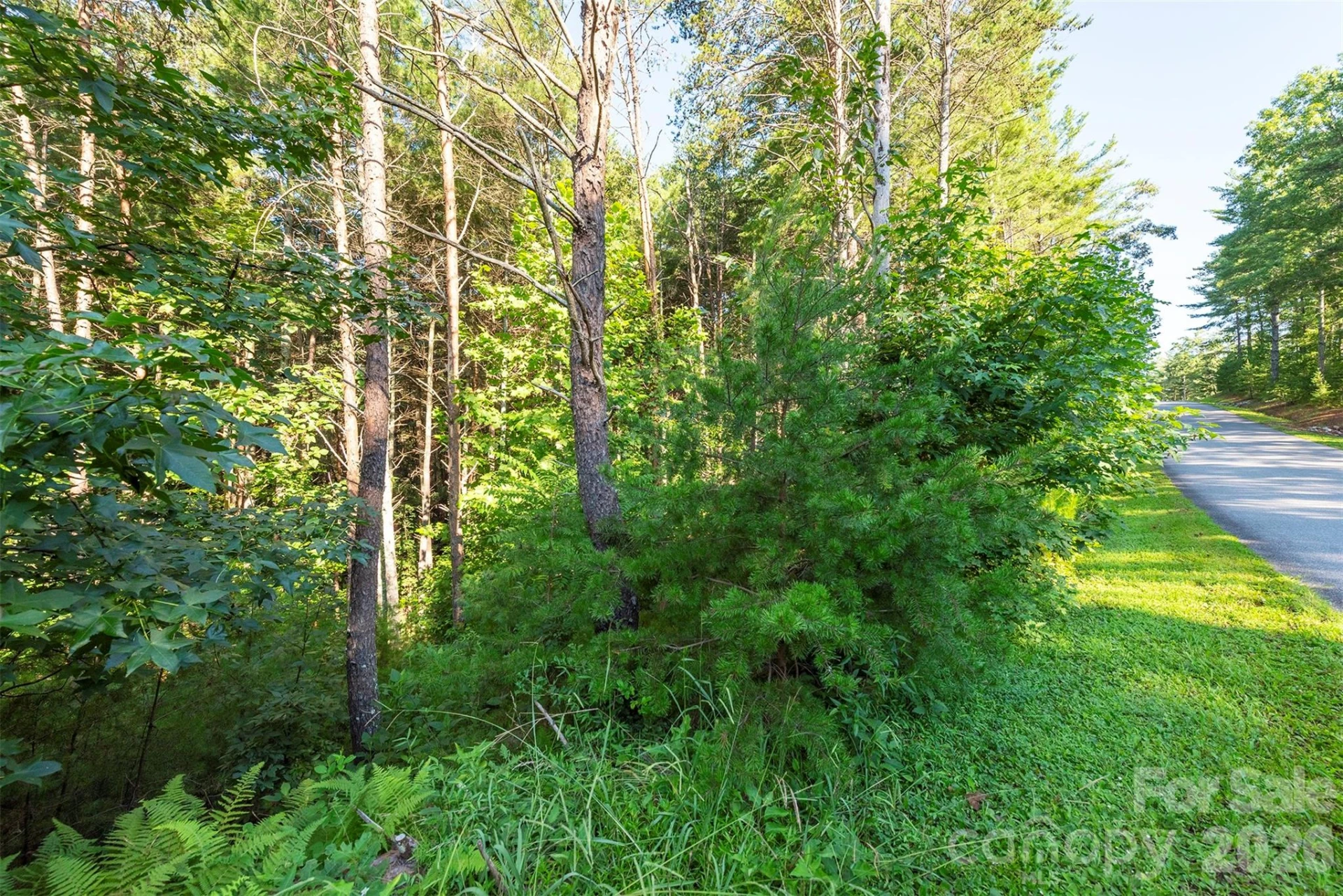 LOT #86 Crest View Drive - Photo 6