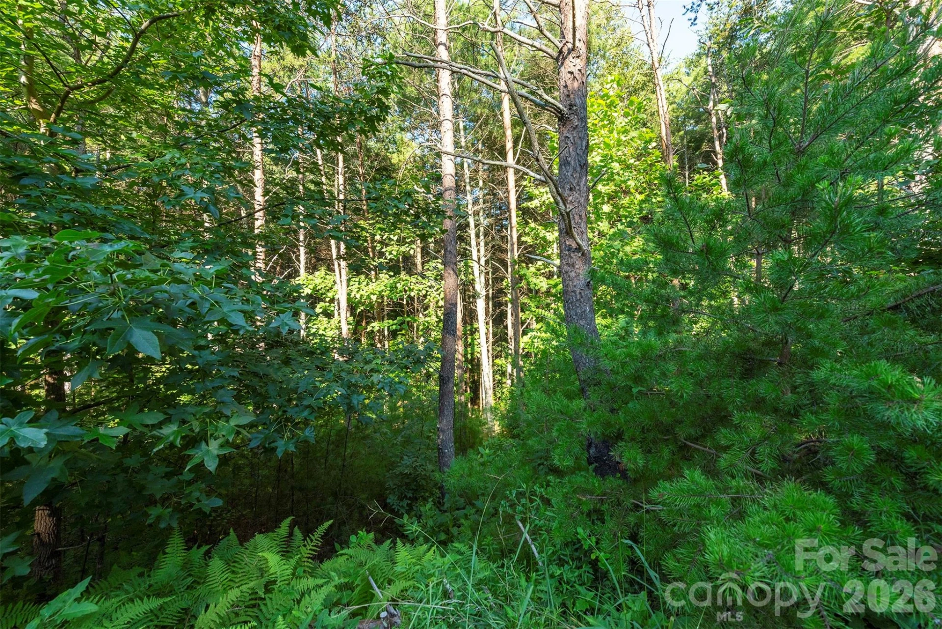 LOT #86 Crest View Drive - Photo 7