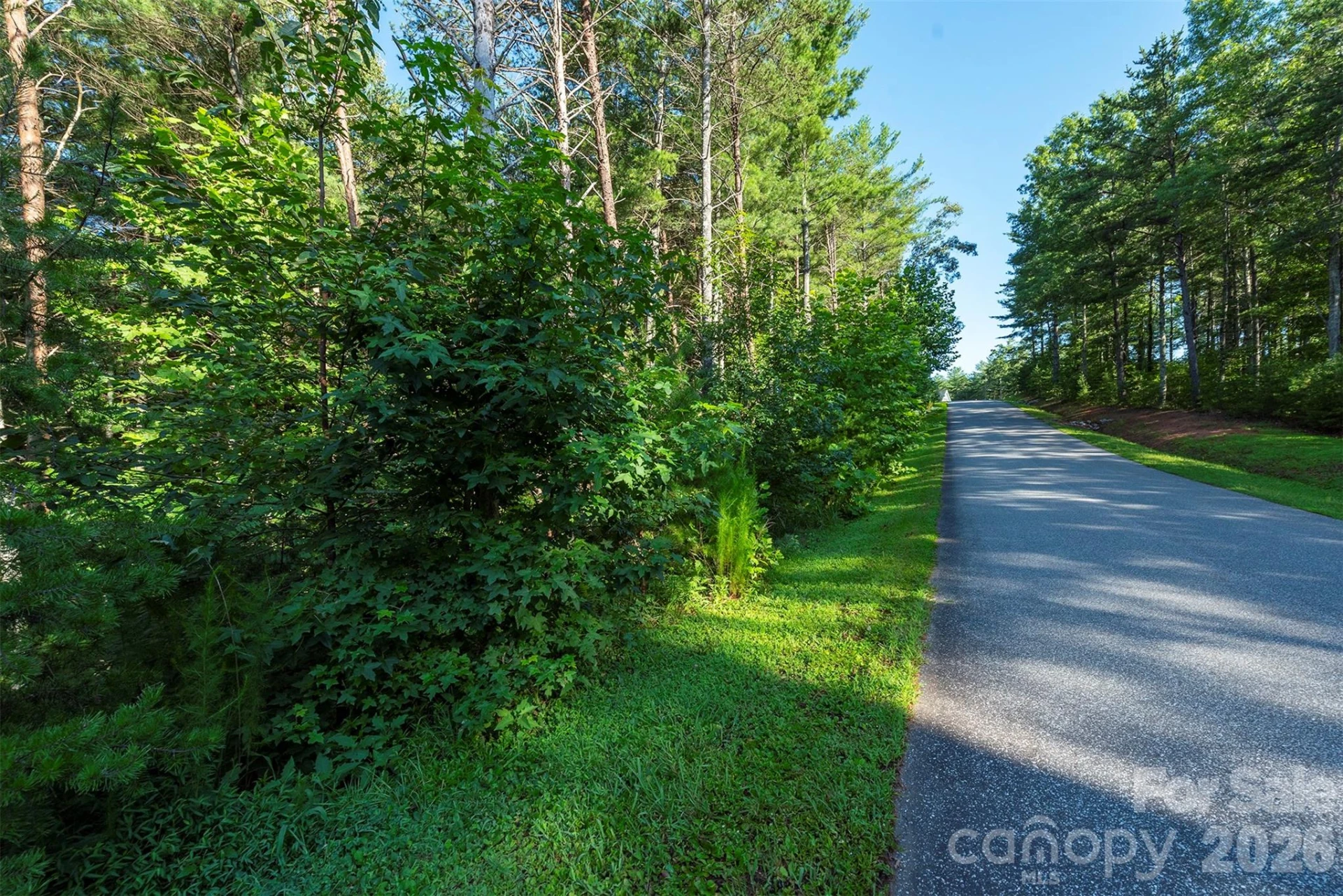 LOT #86 Crest View Drive - Photo 8
