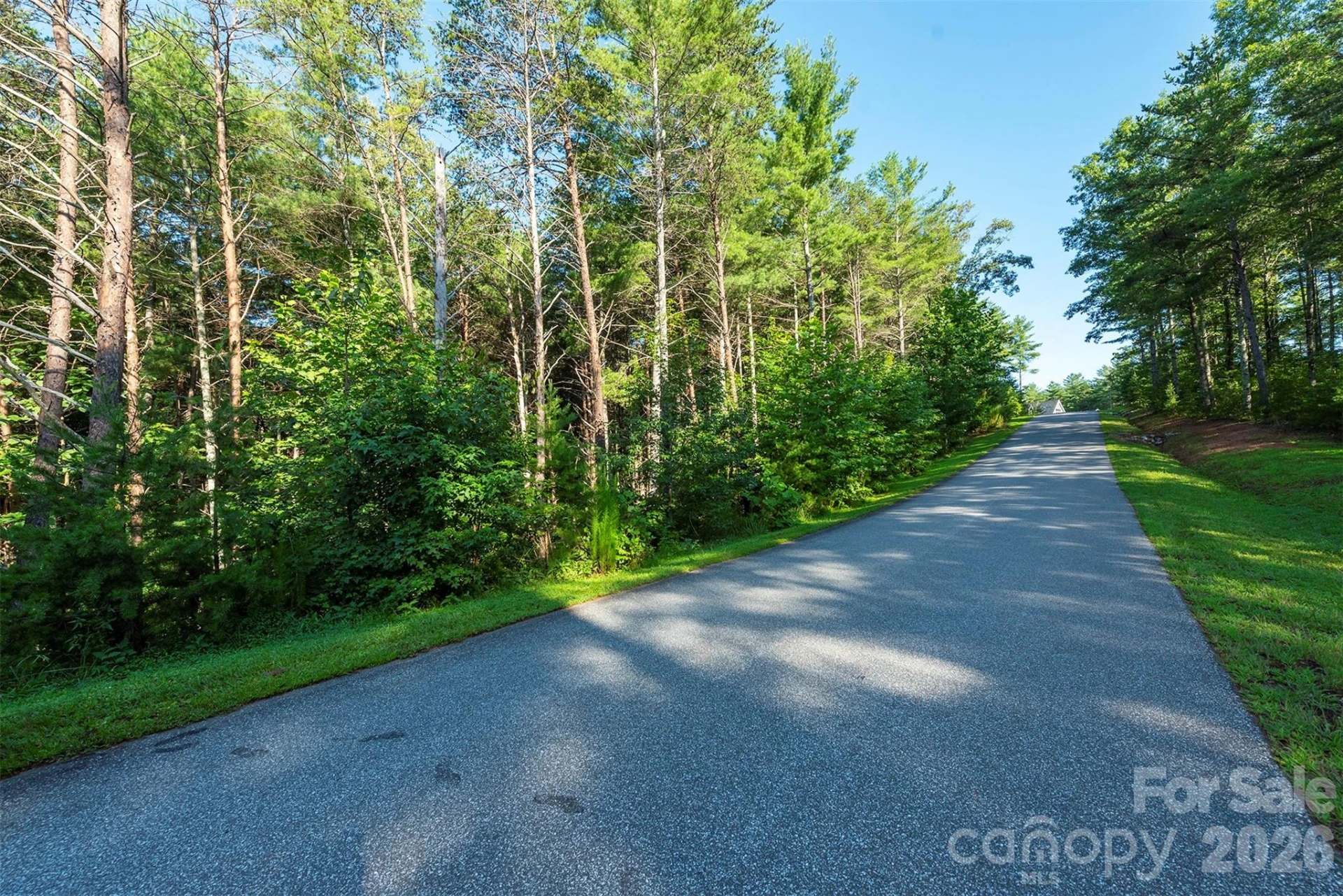 LOT #86 Crest View Drive - Photo 9