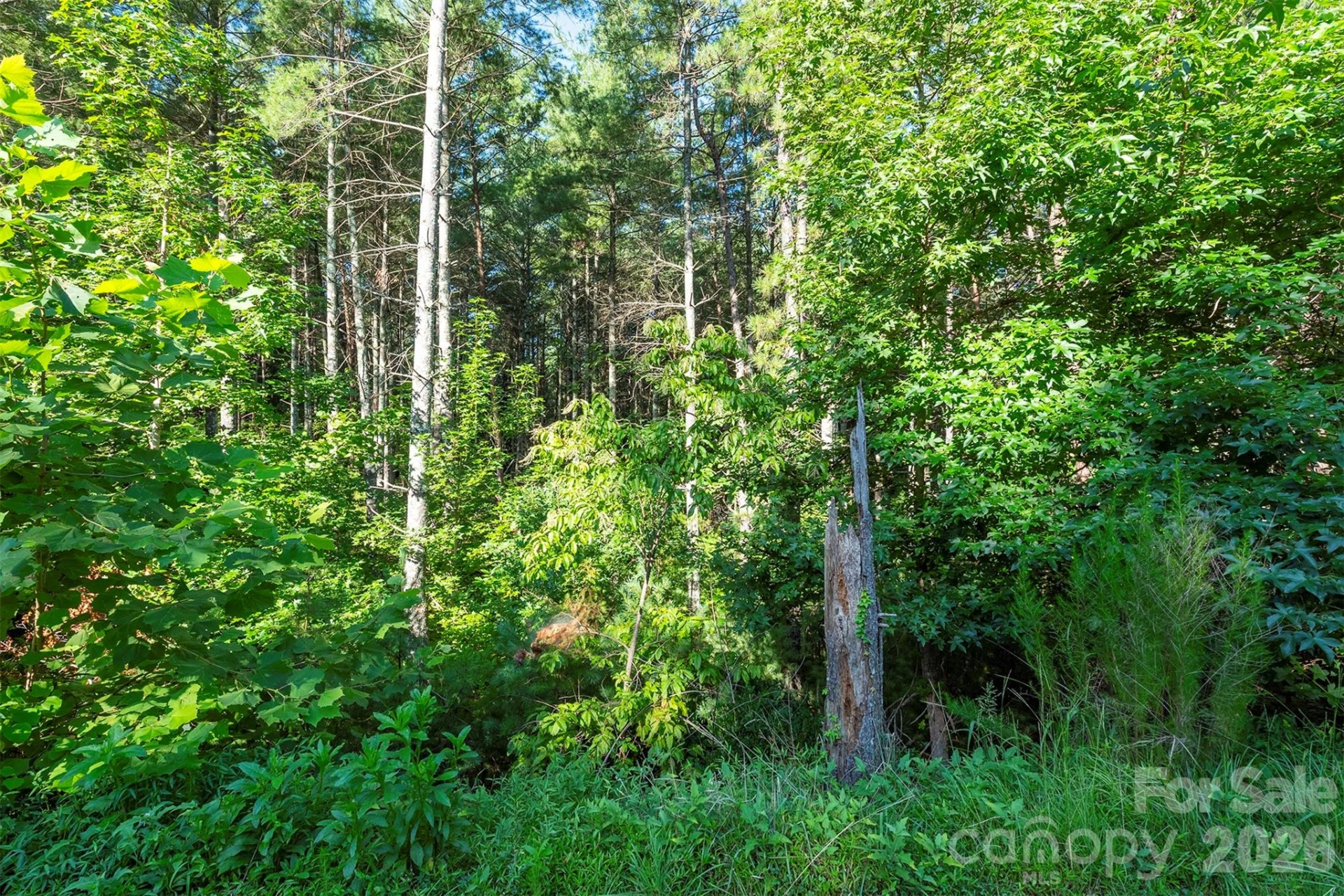 LOT #86 Crest View Drive - Photo 10