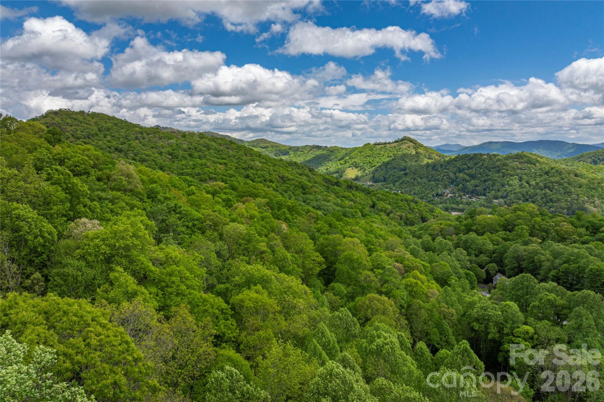 Lot 4 Mountain Watch Drive - Photo 2