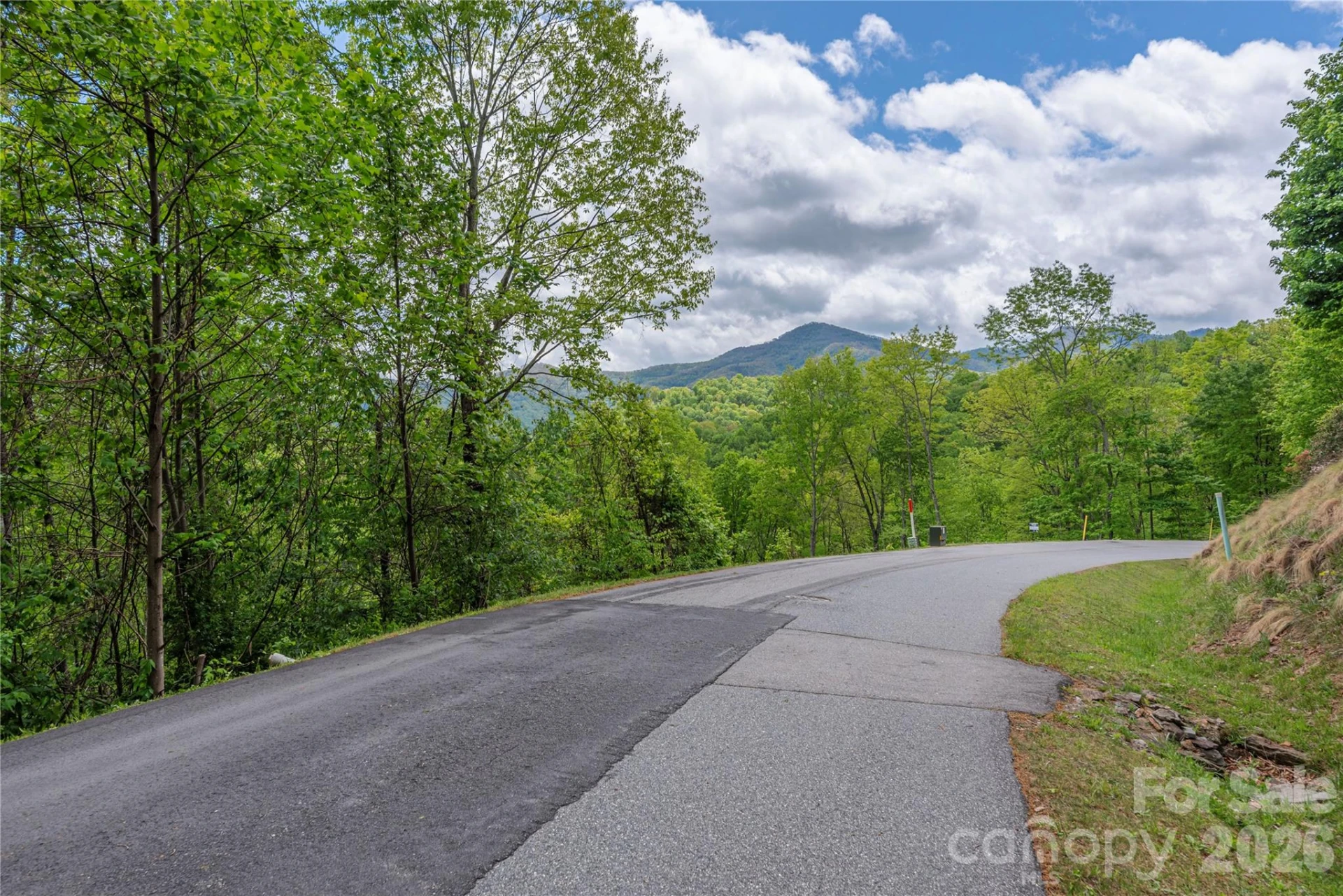 Lot 4 Mountain Watch Drive - Photo 9