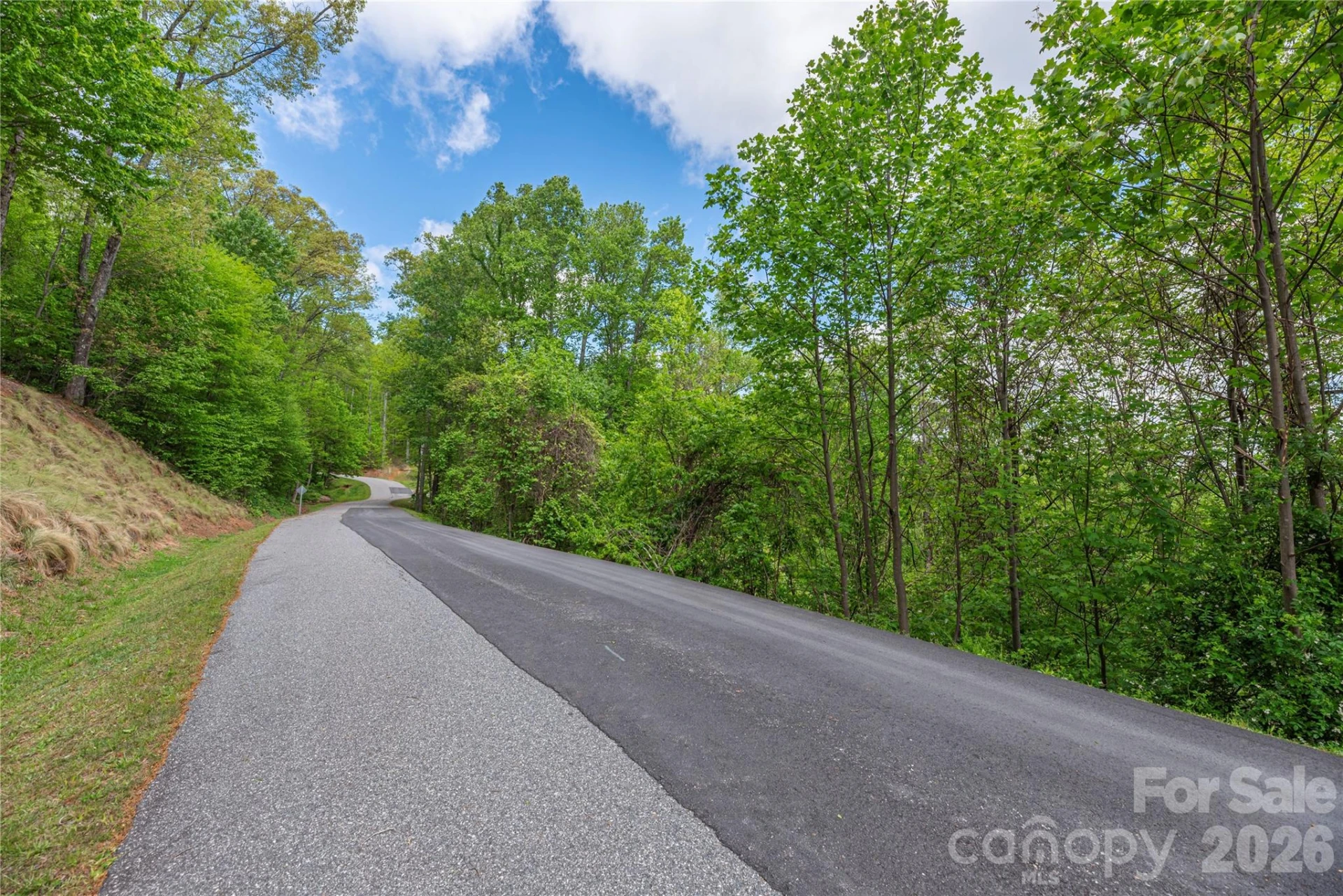 Lot 4 Mountain Watch Drive - Photo 10