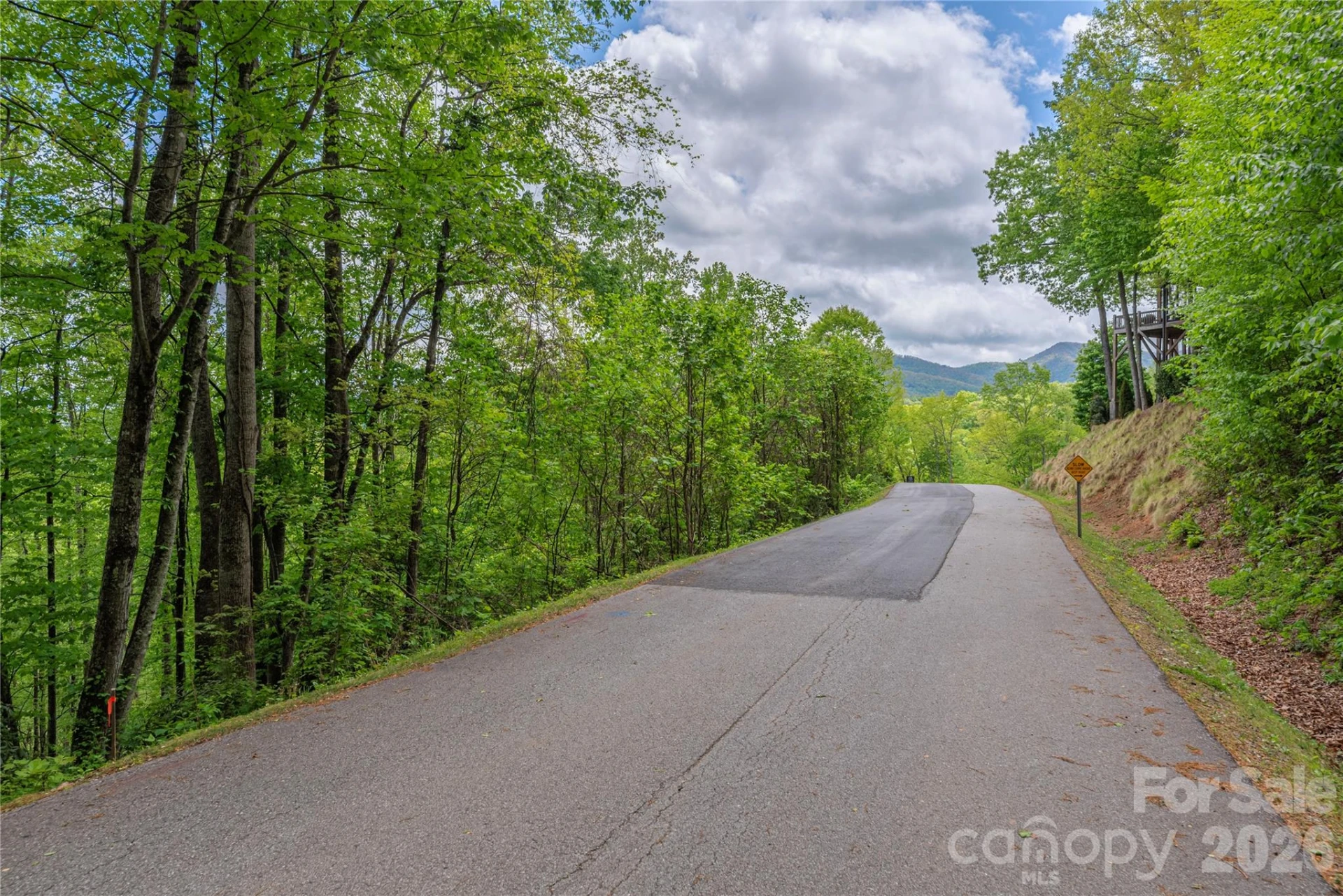 Lot 4 Mountain Watch Drive - Photo 11
