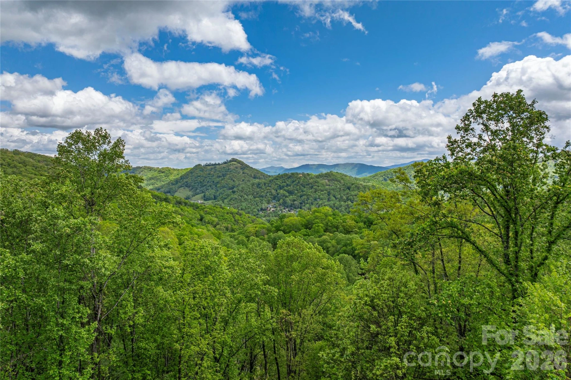 391 Valley View Drive - Photo 6
