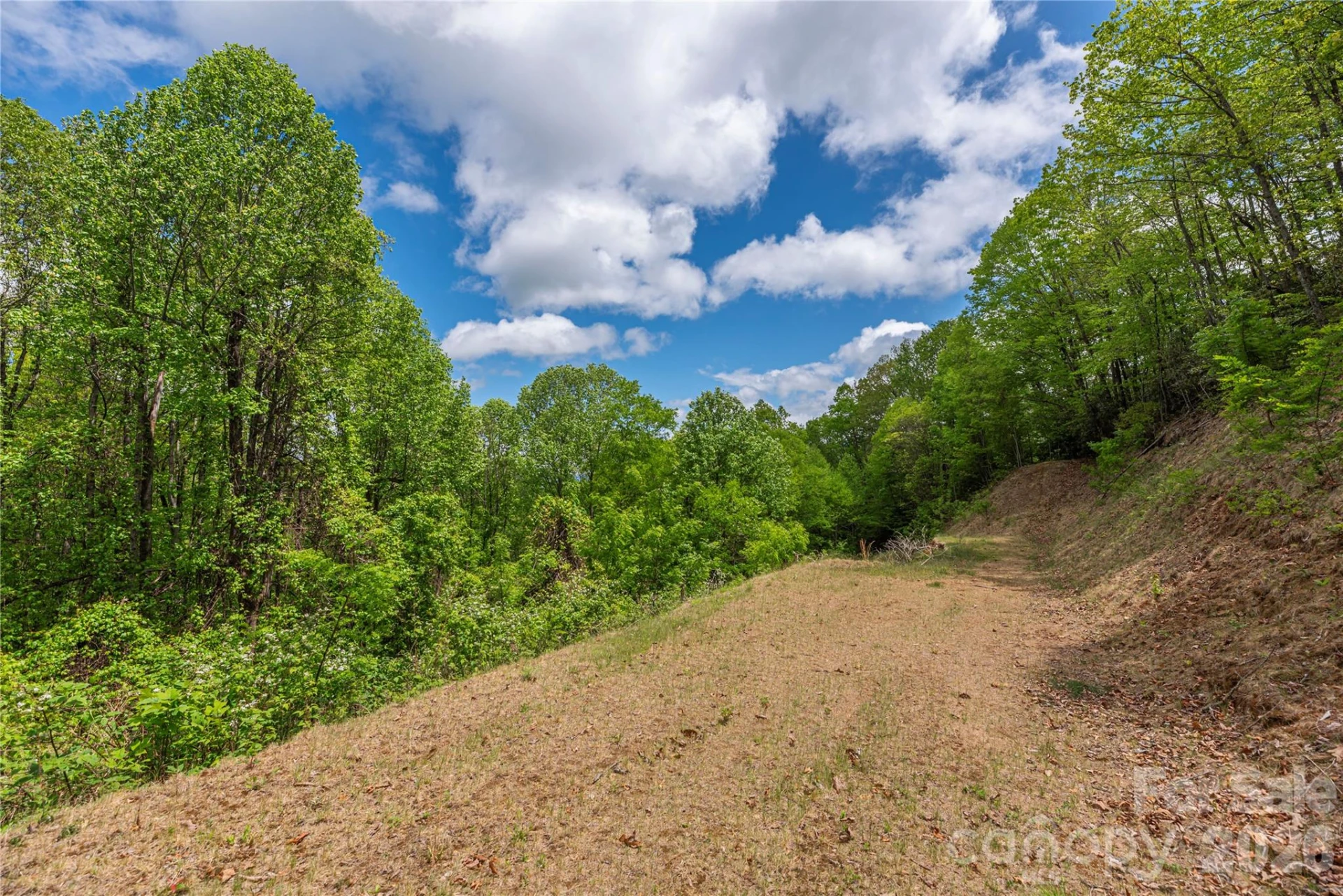 391 Valley View Drive - Photo 10