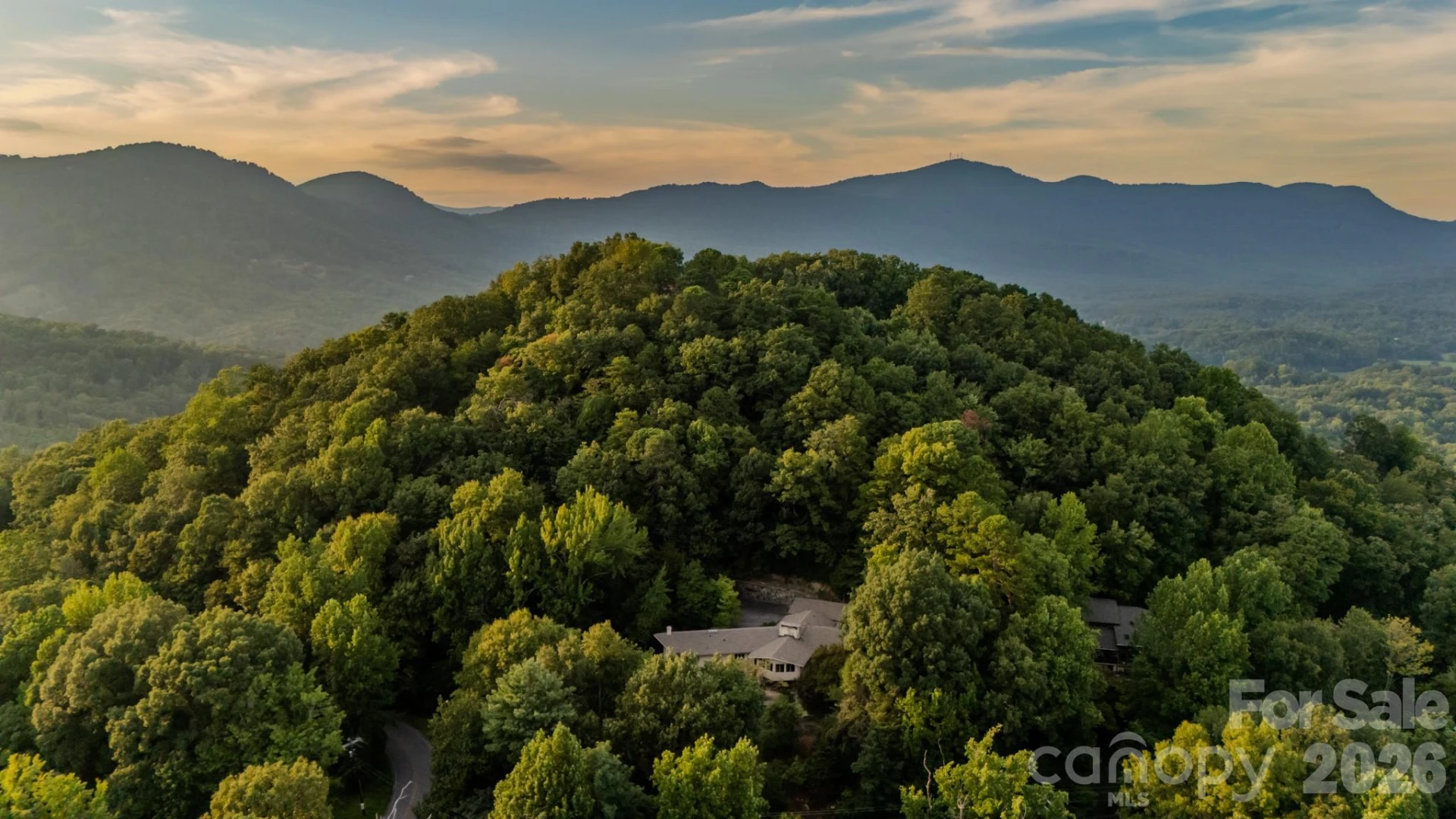 1225 Hogback Mountain Road - Photo 4