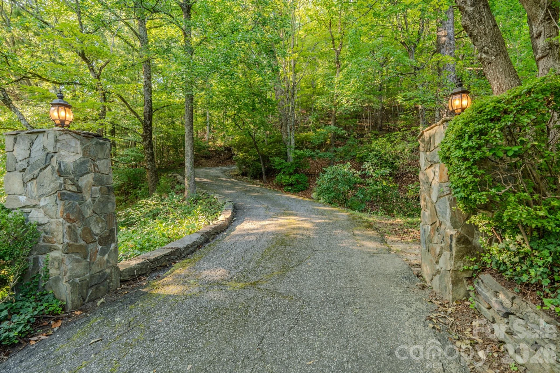 1225 Hogback Mountain Road - Photo 5