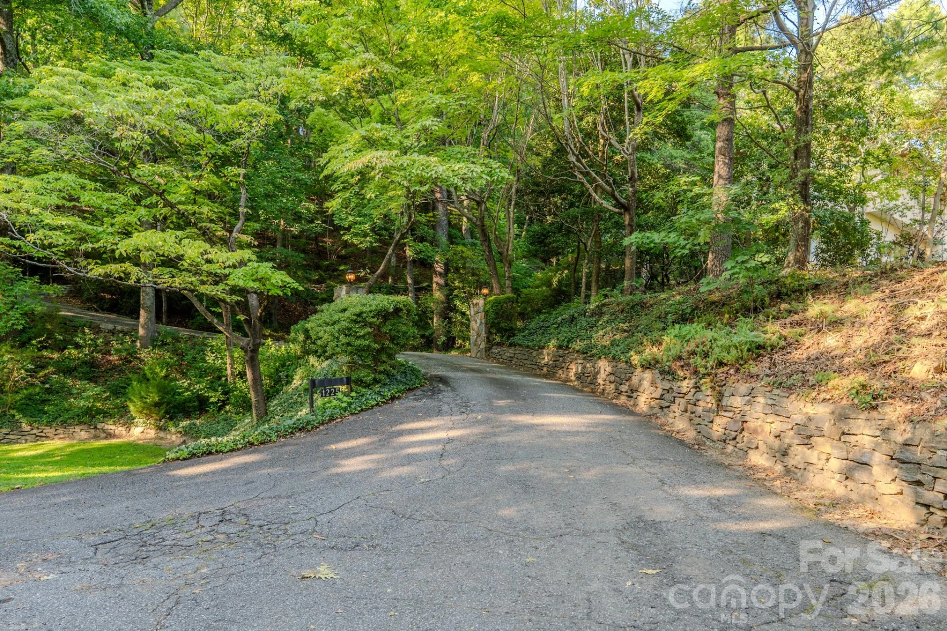 1225 Hogback Mountain Road - Photo 40
