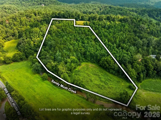 99999 Big Sandy Mush Road, Leicester, NC, 28748