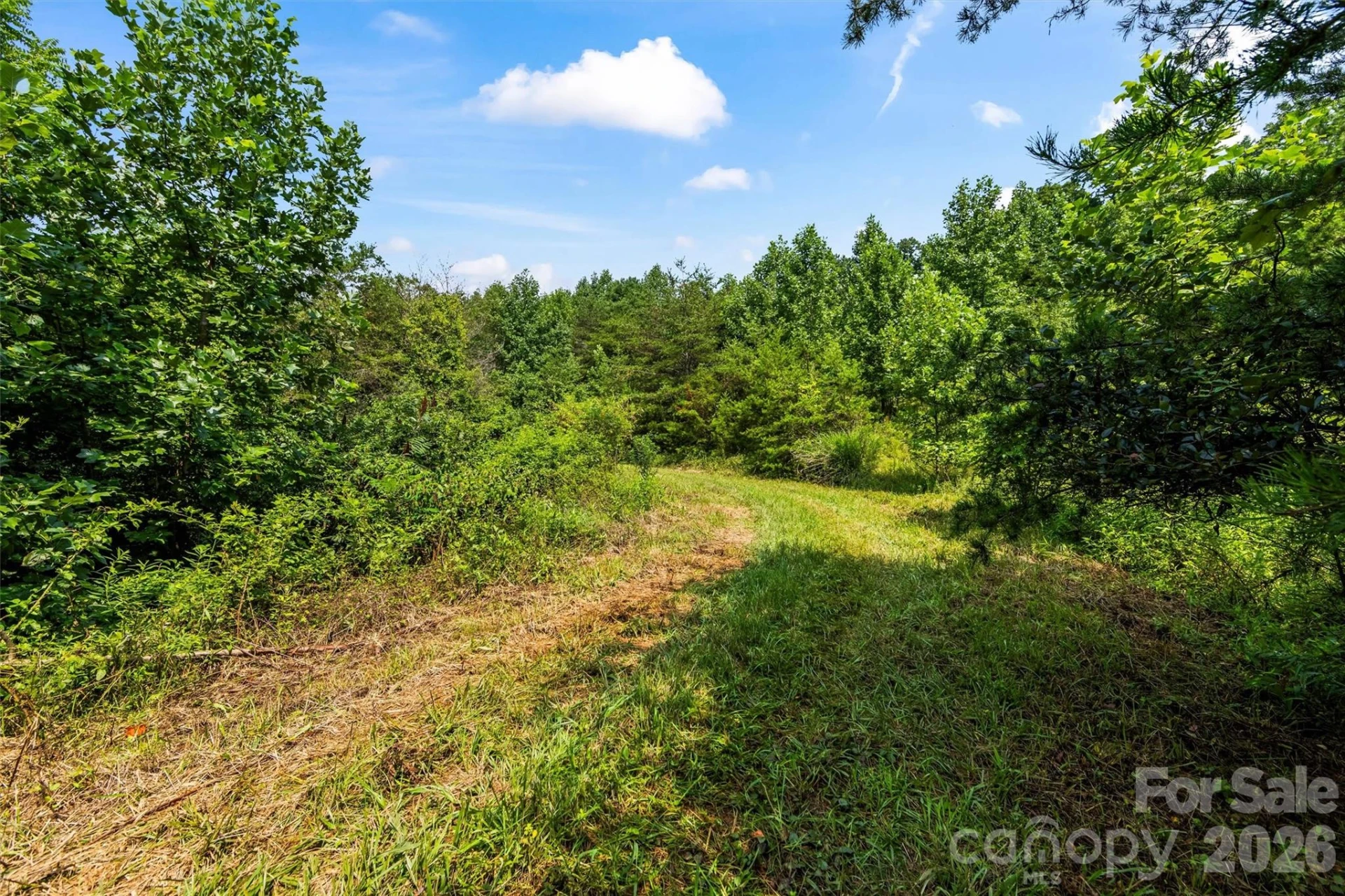 99999 Big Sandy Mush Road - Photo 5