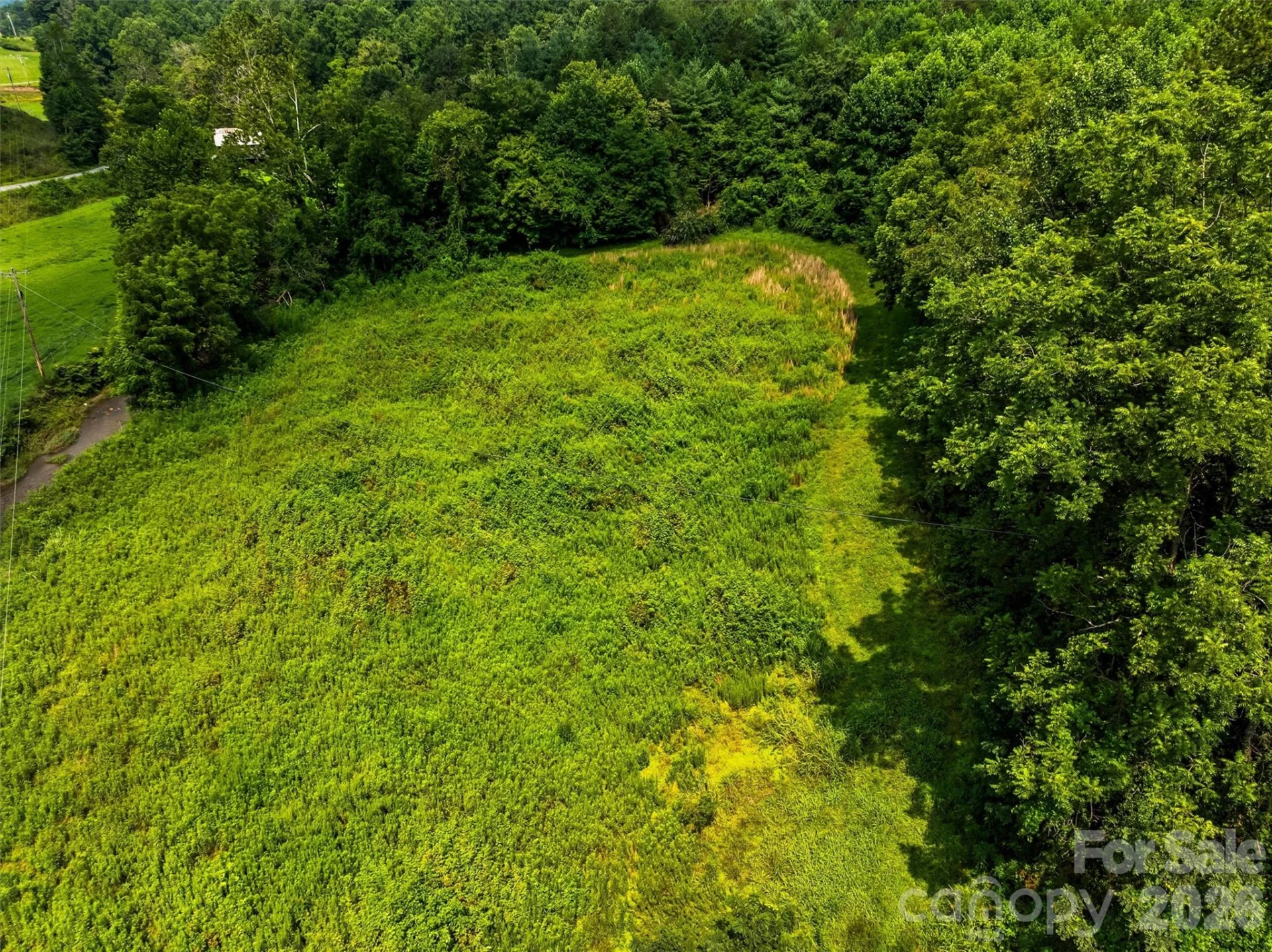 99999 Big Sandy Mush Road - Photo 7