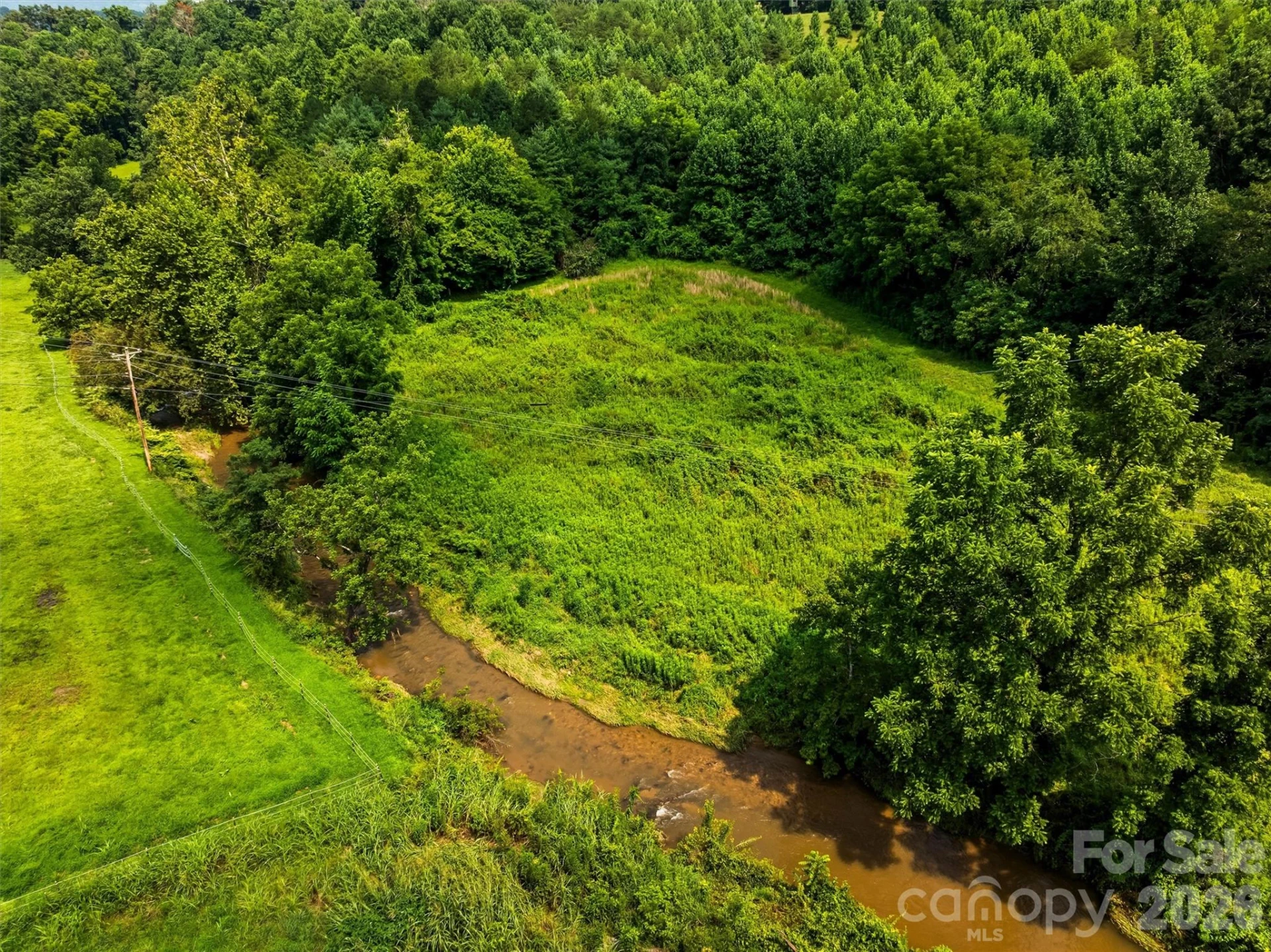 99999 Big Sandy Mush Road - Photo 8