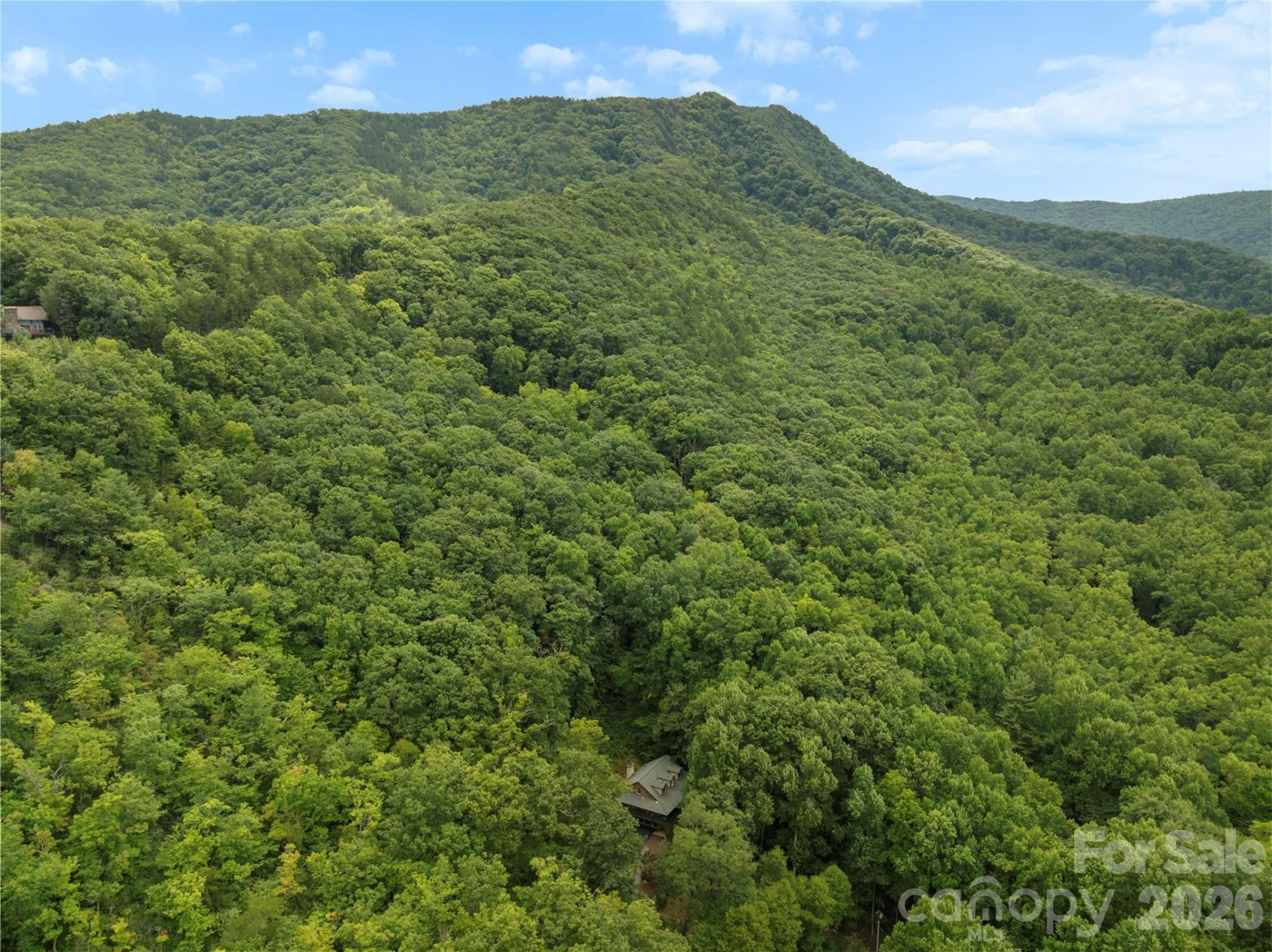 236 Holland Drive - Photo 46