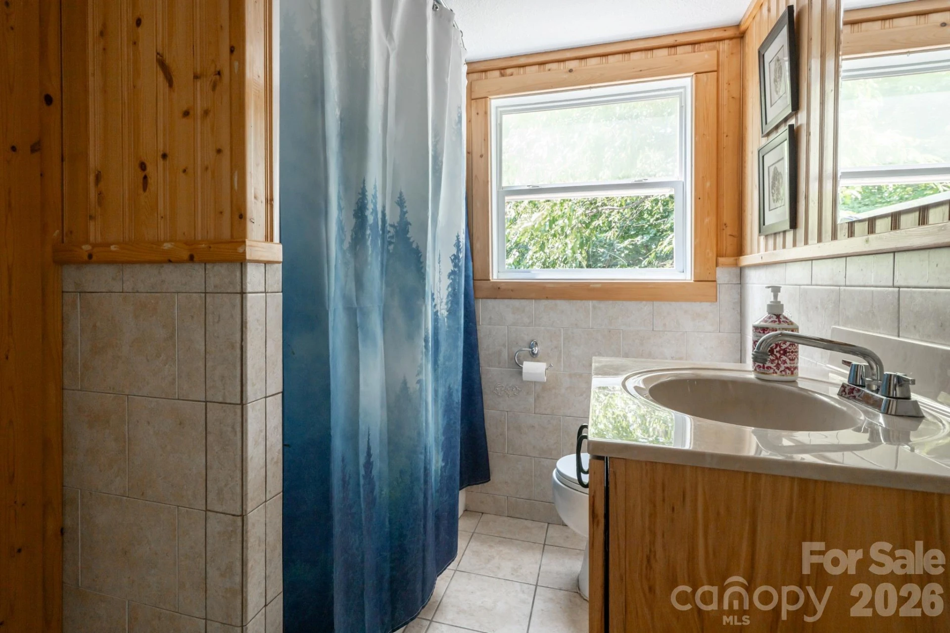 219 Echo Mountain View Road - Photo 22