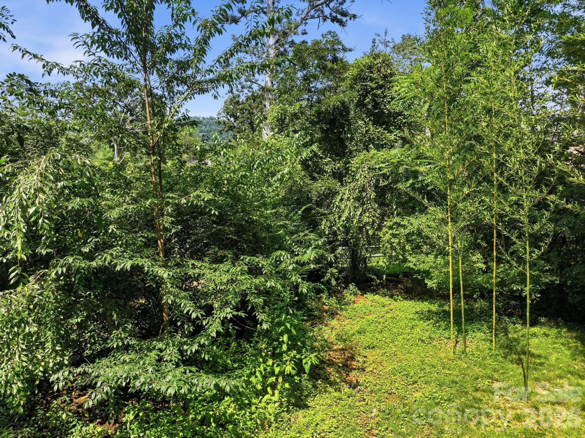 50 Alclare Court - Photo 6