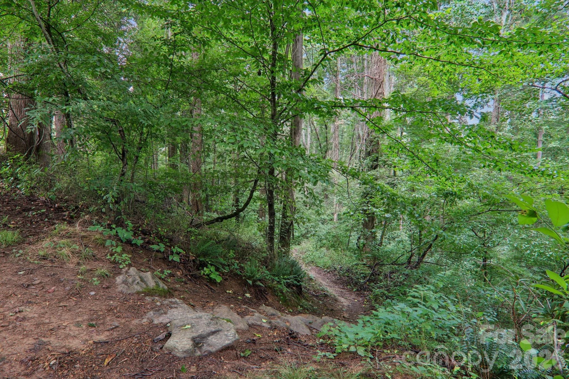 100 Vista Lake Drive #2 - Photo 42