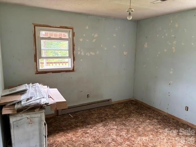 993 Coney Island Road - Photo 13