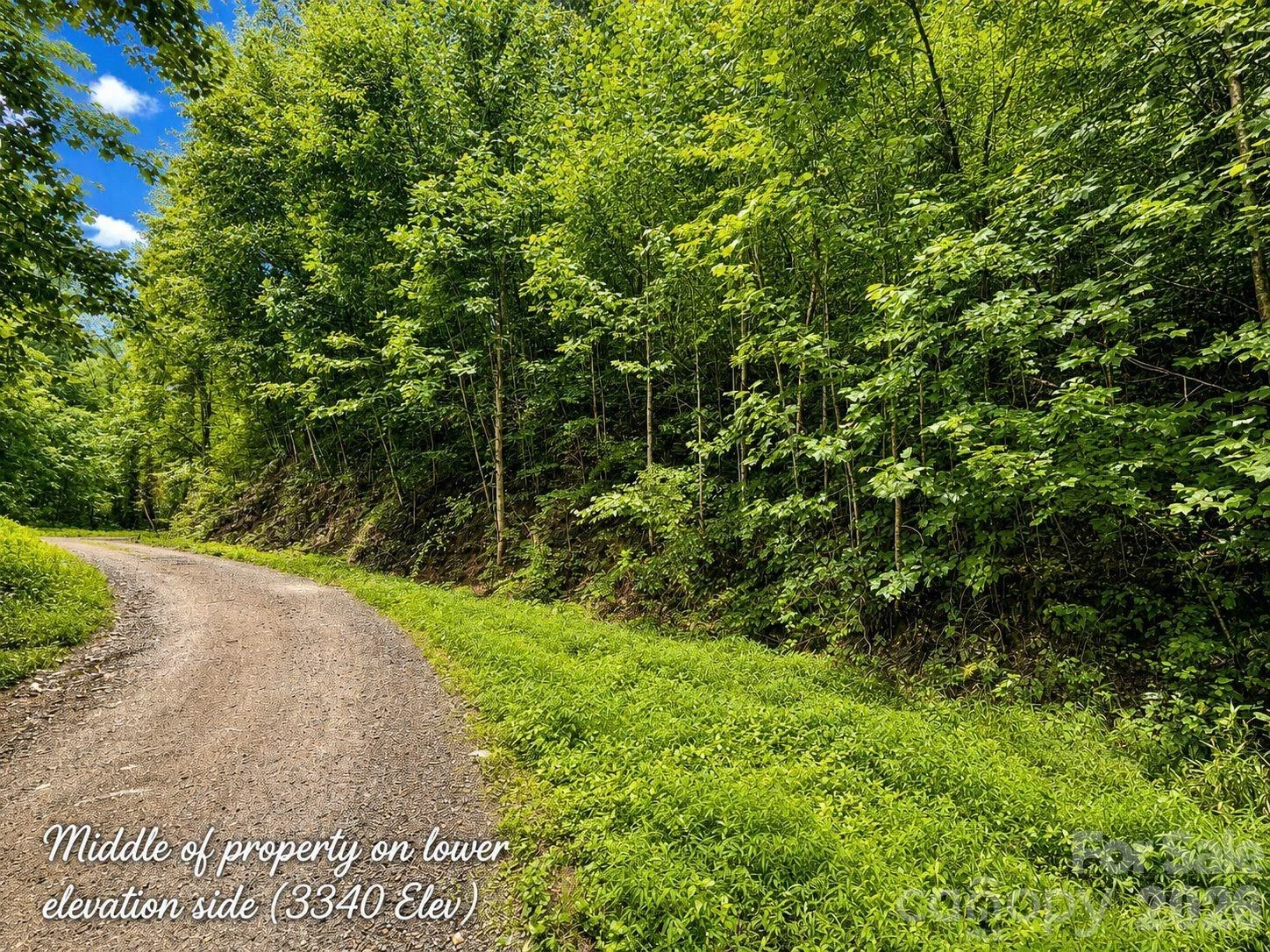 1000 Yonah Trail #7 - Photo 2