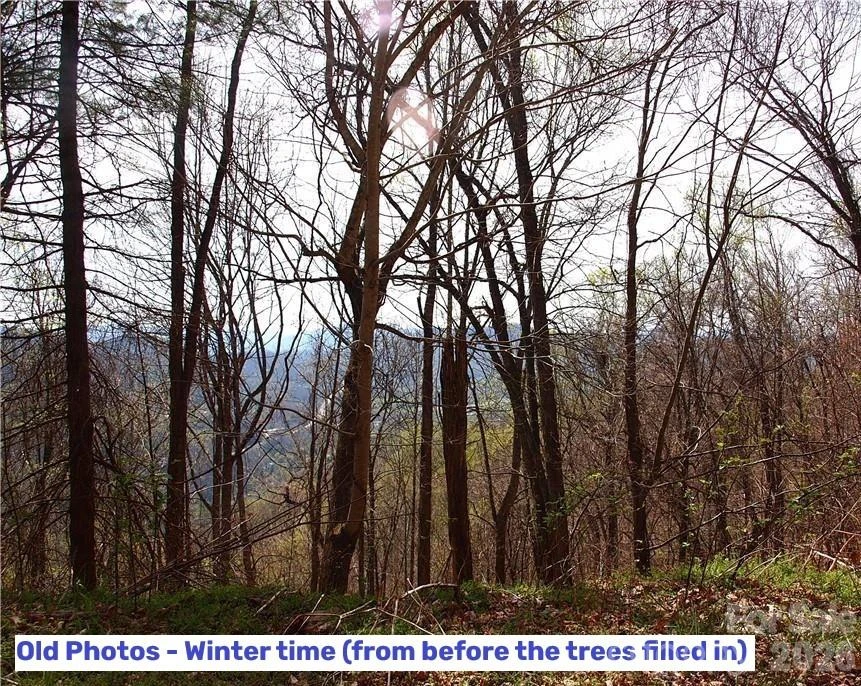 1000 Yonah Trail #7 - Photo 3