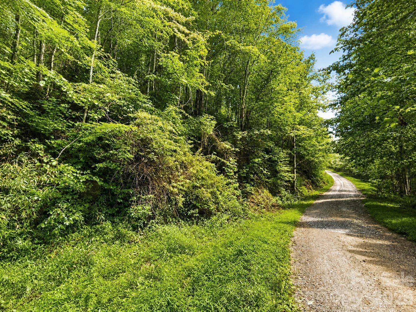 1000 Yonah Trail #7 - Photo 4