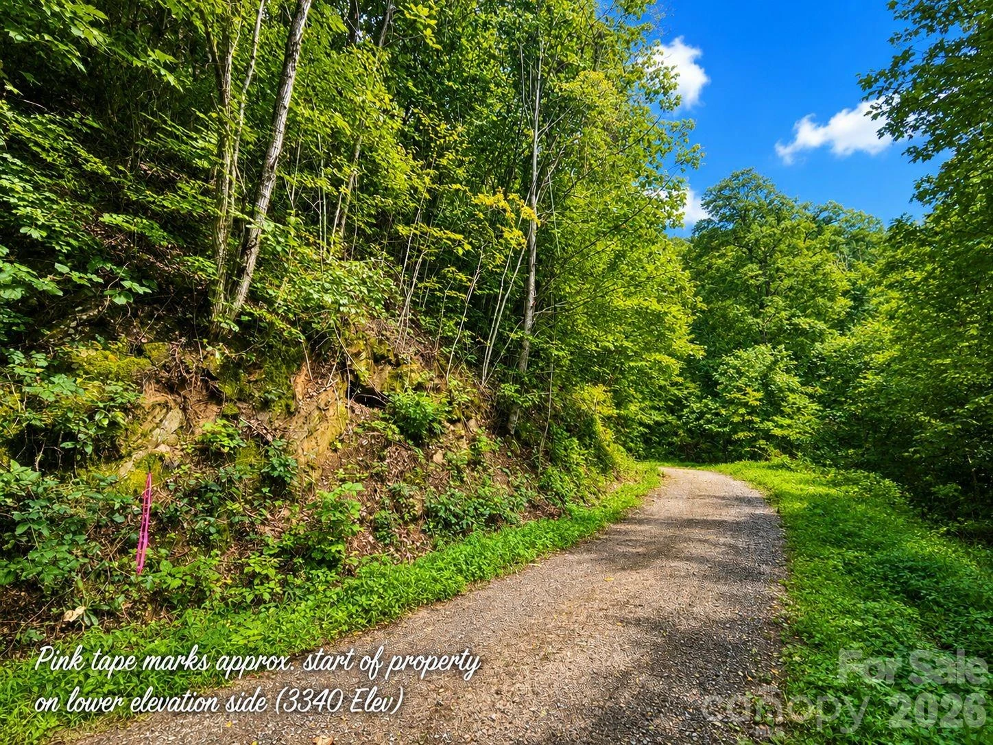 1000 Yonah Trail #7 - Photo 6