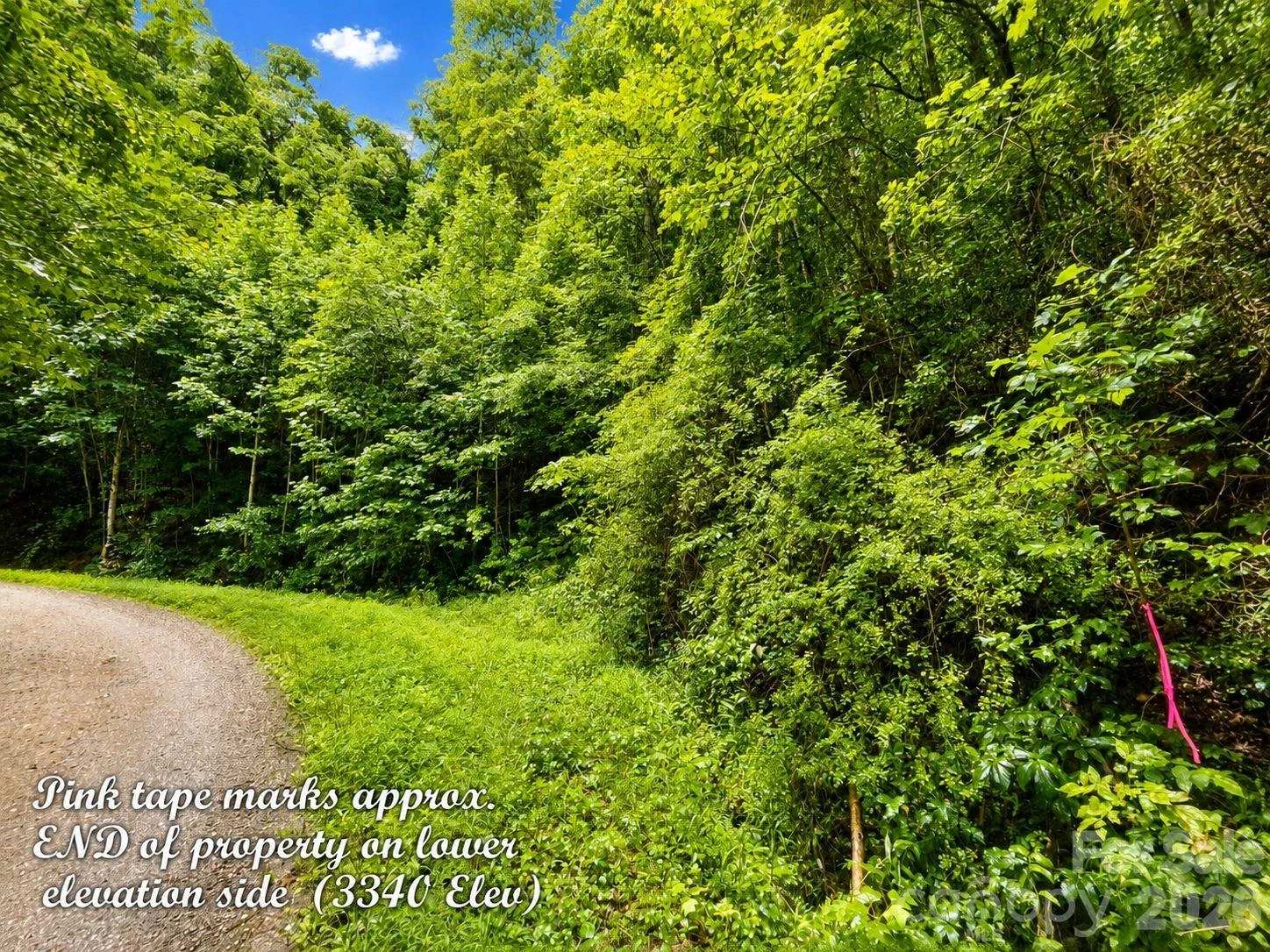 1000 Yonah Trail #7 - Photo 7