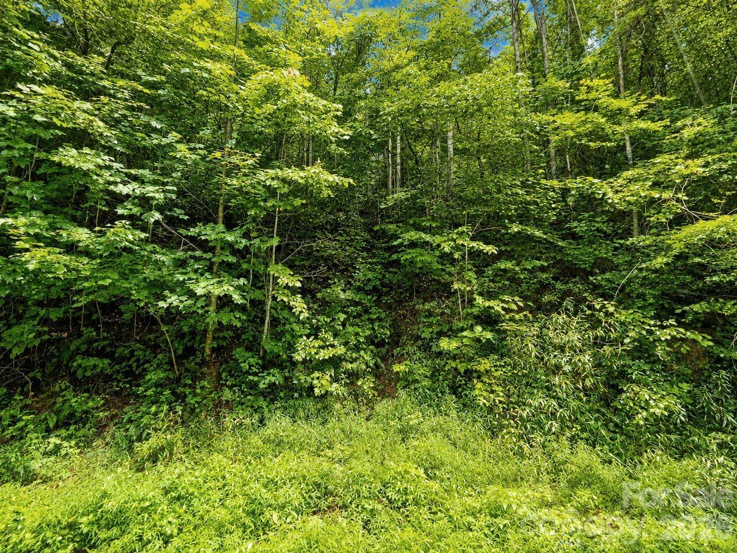 1000 Yonah Trail #7 - Photo 8
