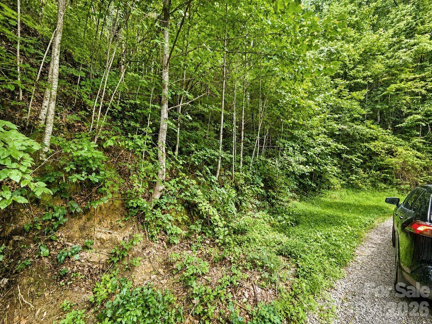 1000 Yonah Trail #7 - Photo 9