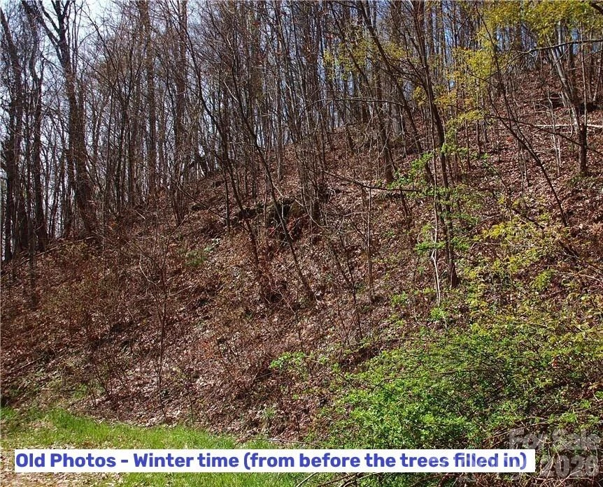 1000 Yonah Trail #7 - Photo 11