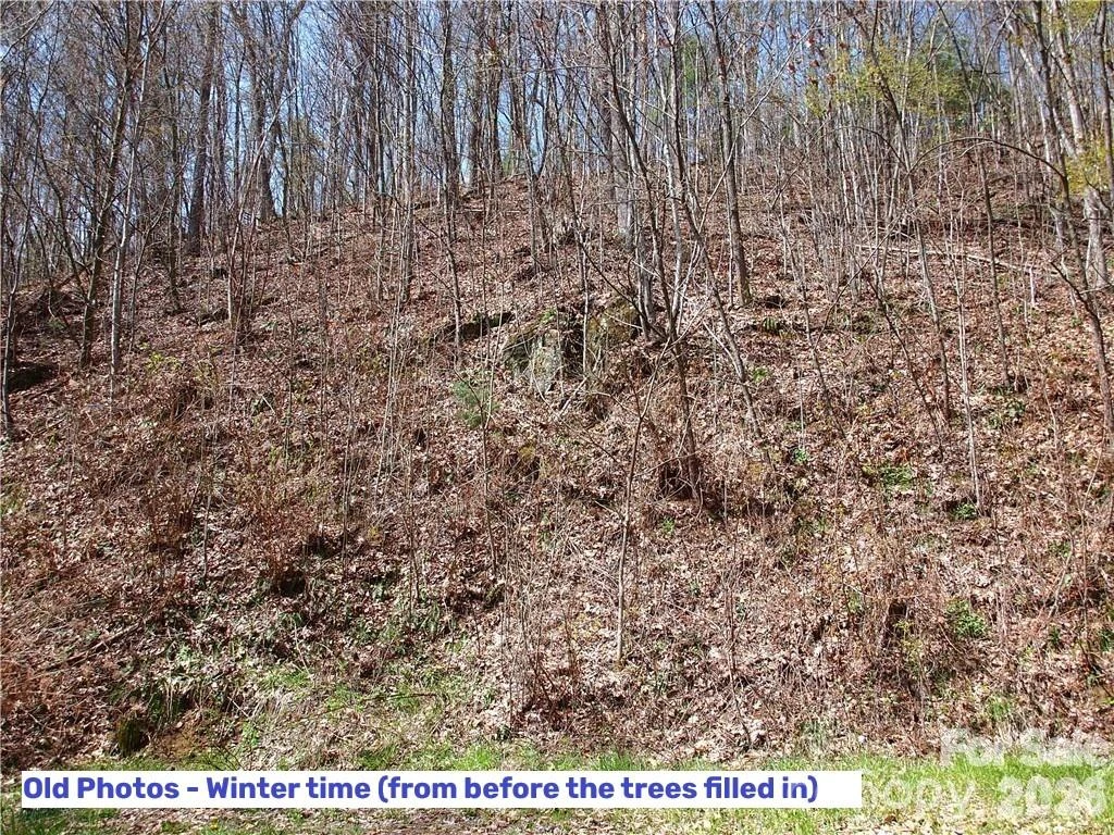 1000 Yonah Trail #7 - Photo 12
