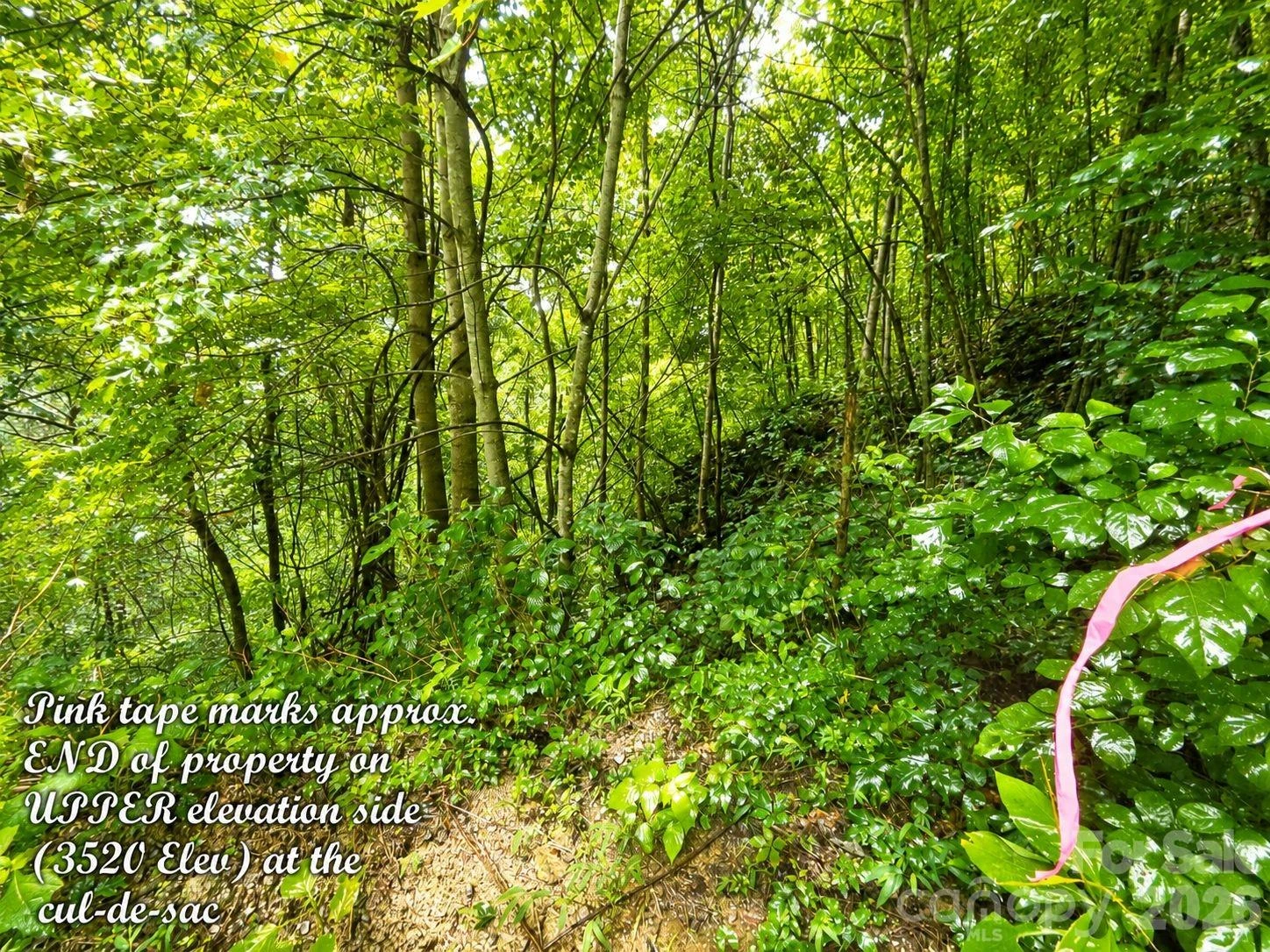 1000 Yonah Trail #7 - Photo 15