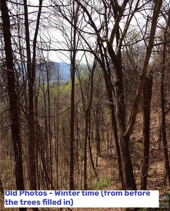 1000 Yonah Trail #7 - Photo 17