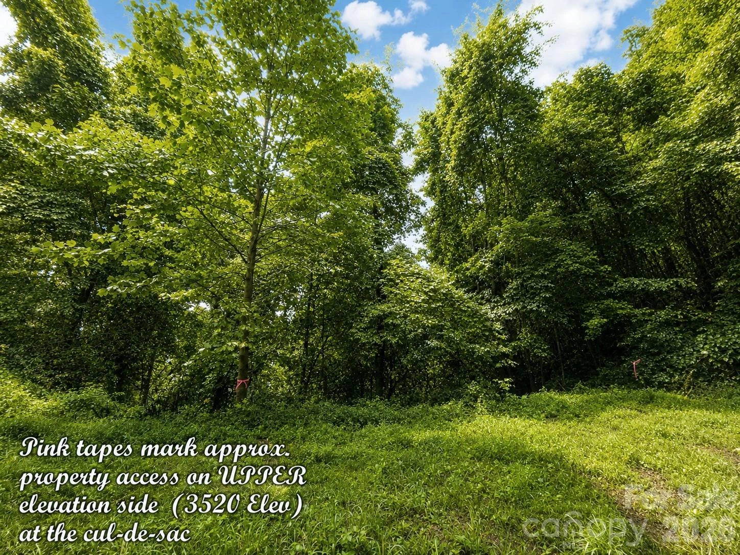 1000 Yonah Trail #7 - Photo 18