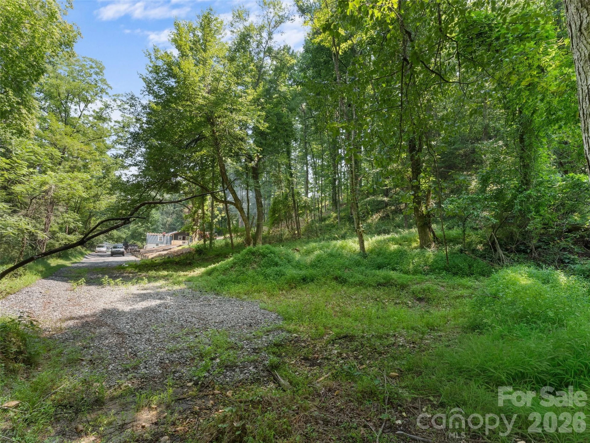 1110 Probart Street #3 - Photo 3