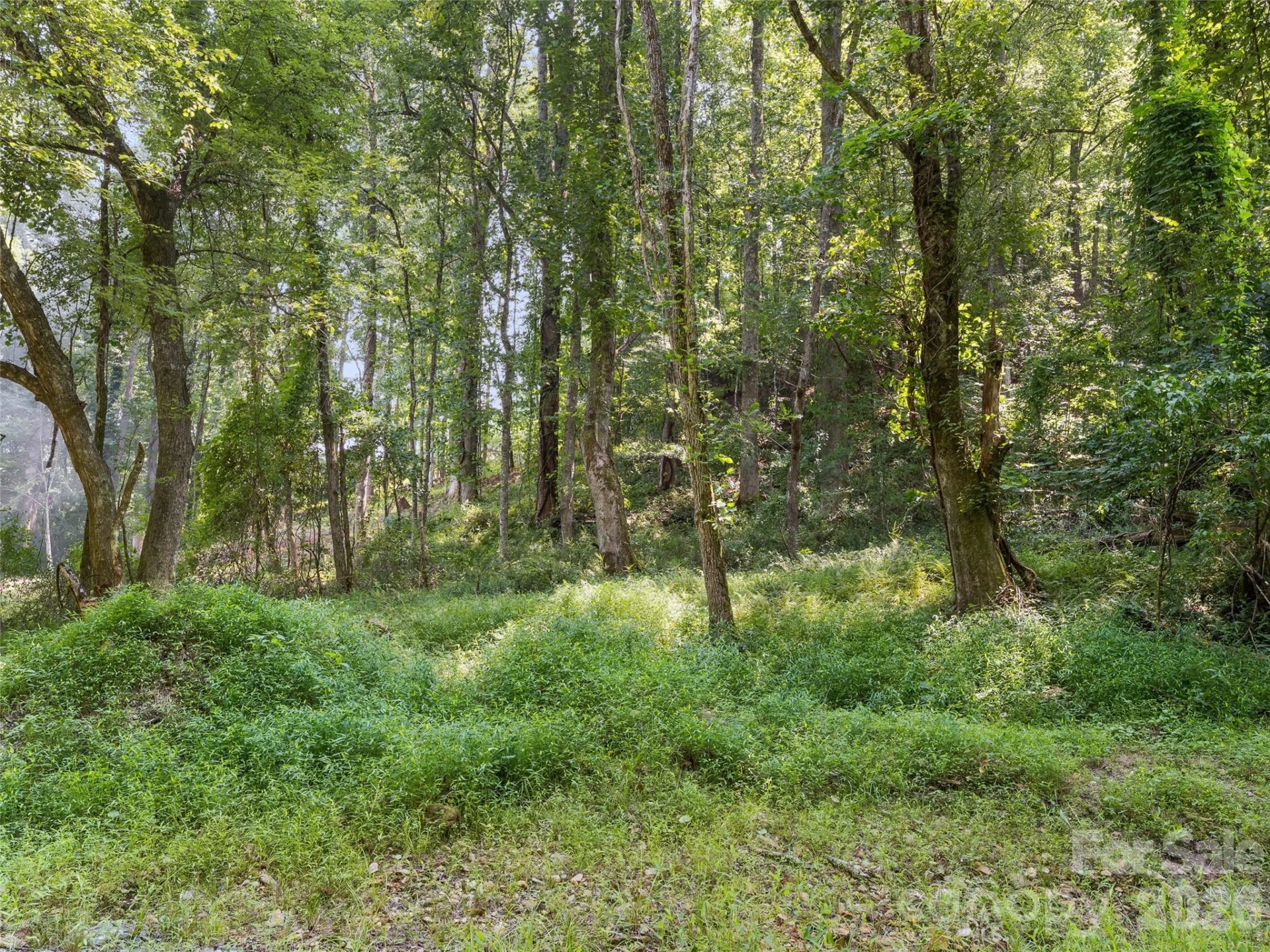 1110 Probart Street #3 - Photo 4