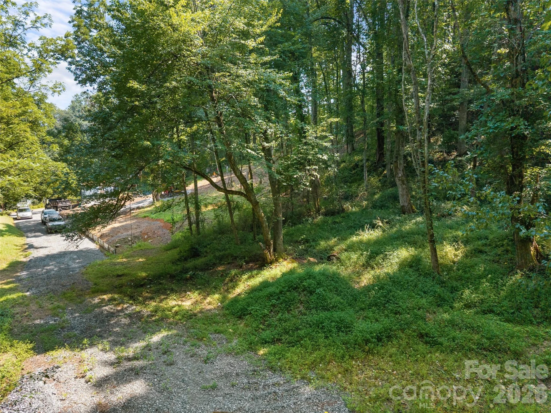 1110 Probart Street #3 - Photo 5